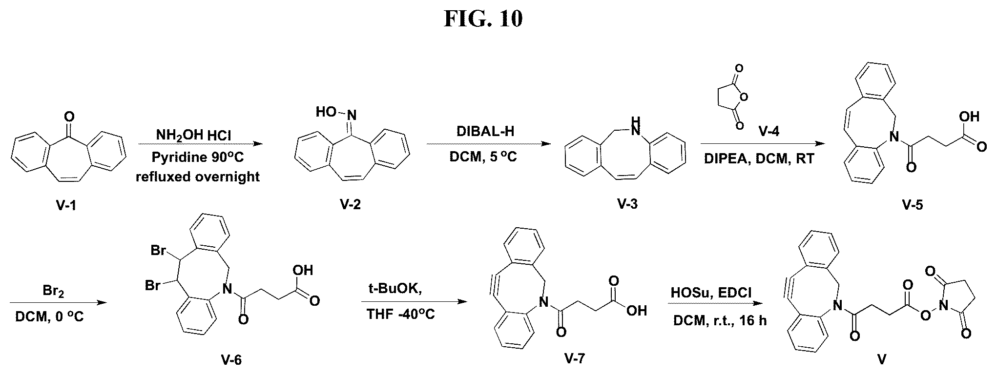 Patent US12377159 Figure 10 – Steroids and protein-conjugates thereof