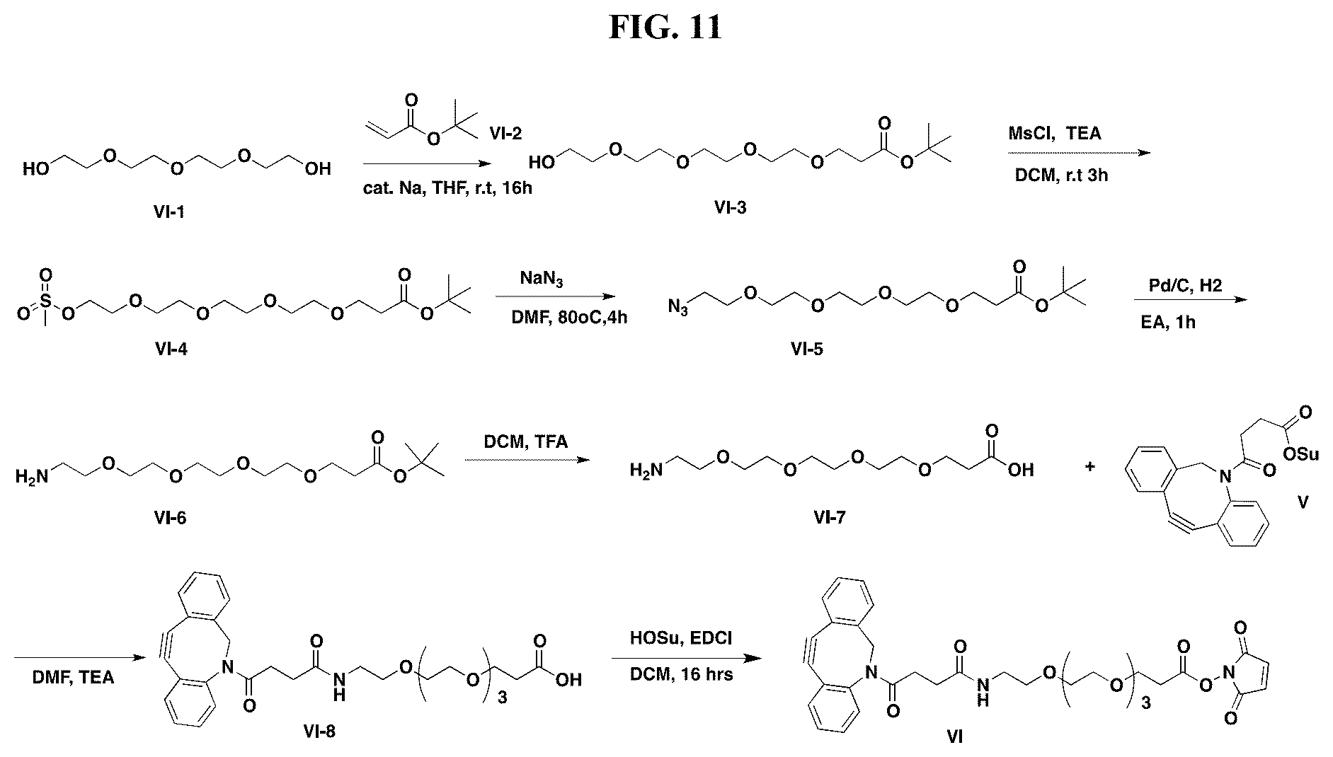 Patent US12377159 Figure 11 – Steroids and protein-conjugates thereof