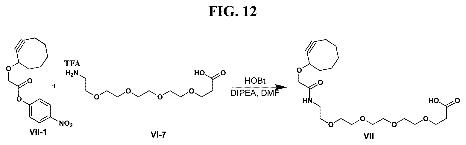Patent US12377159 Figure 12 – Steroids and protein-conjugates thereof