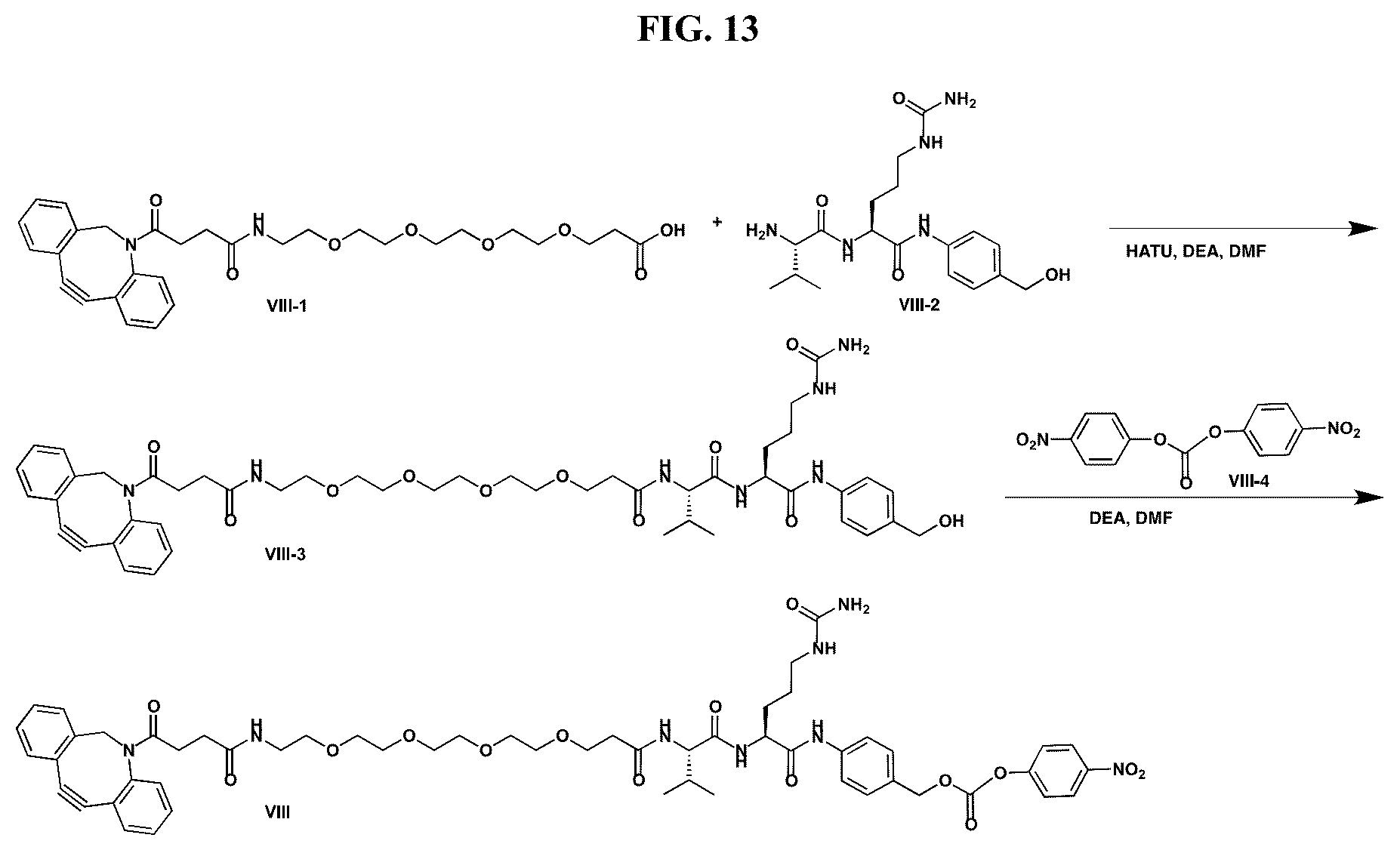 Patent US12377159 Figure 13 – Steroids and protein-conjugates thereof