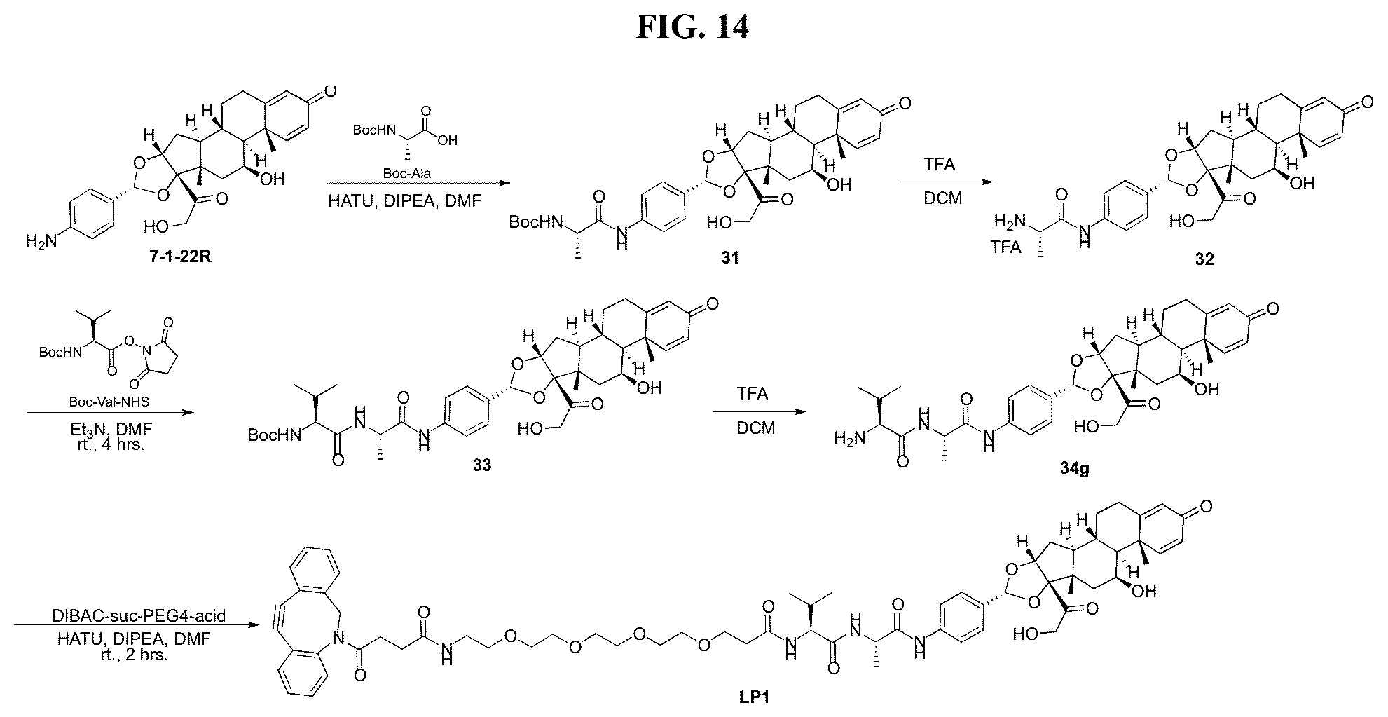 Patent US12377159 Figure 14 – Steroids and protein-conjugates thereof