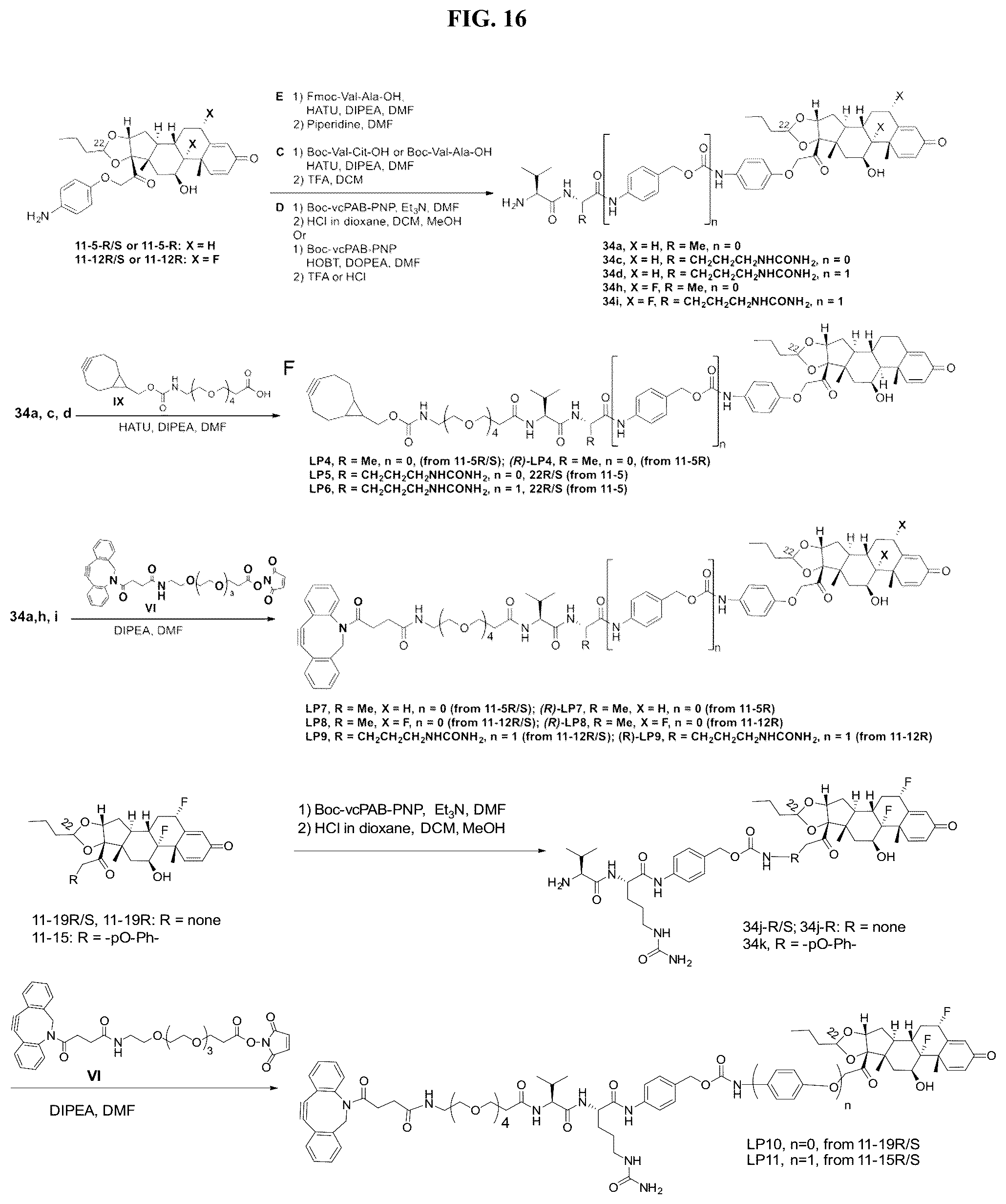 Patent US12377159 Figure 16 – Steroids and protein-conjugates thereof