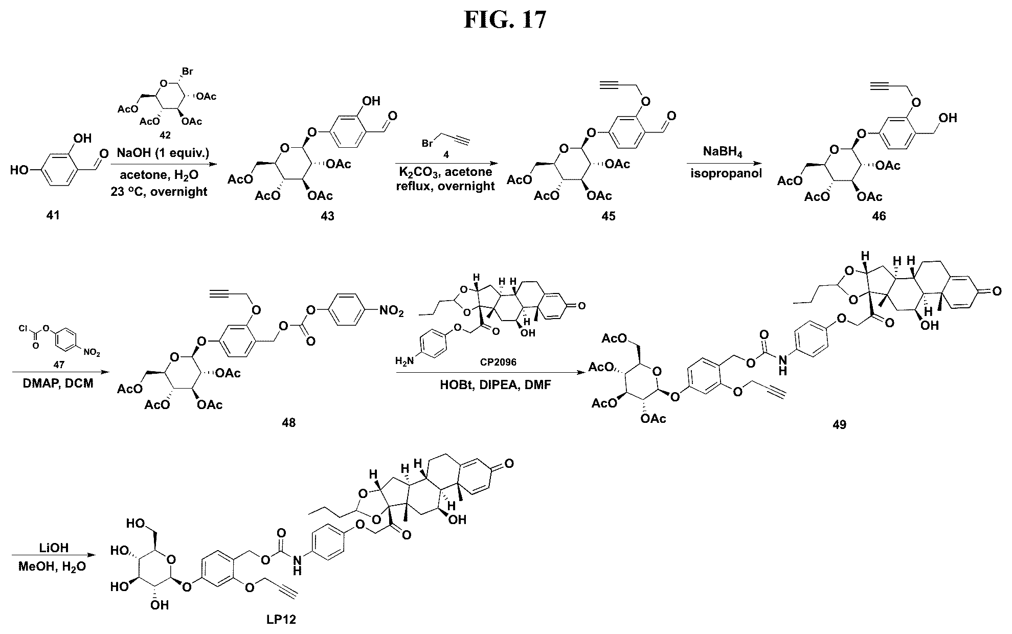 Patent US12377159 Figure 17 – Steroids and protein-conjugates thereof