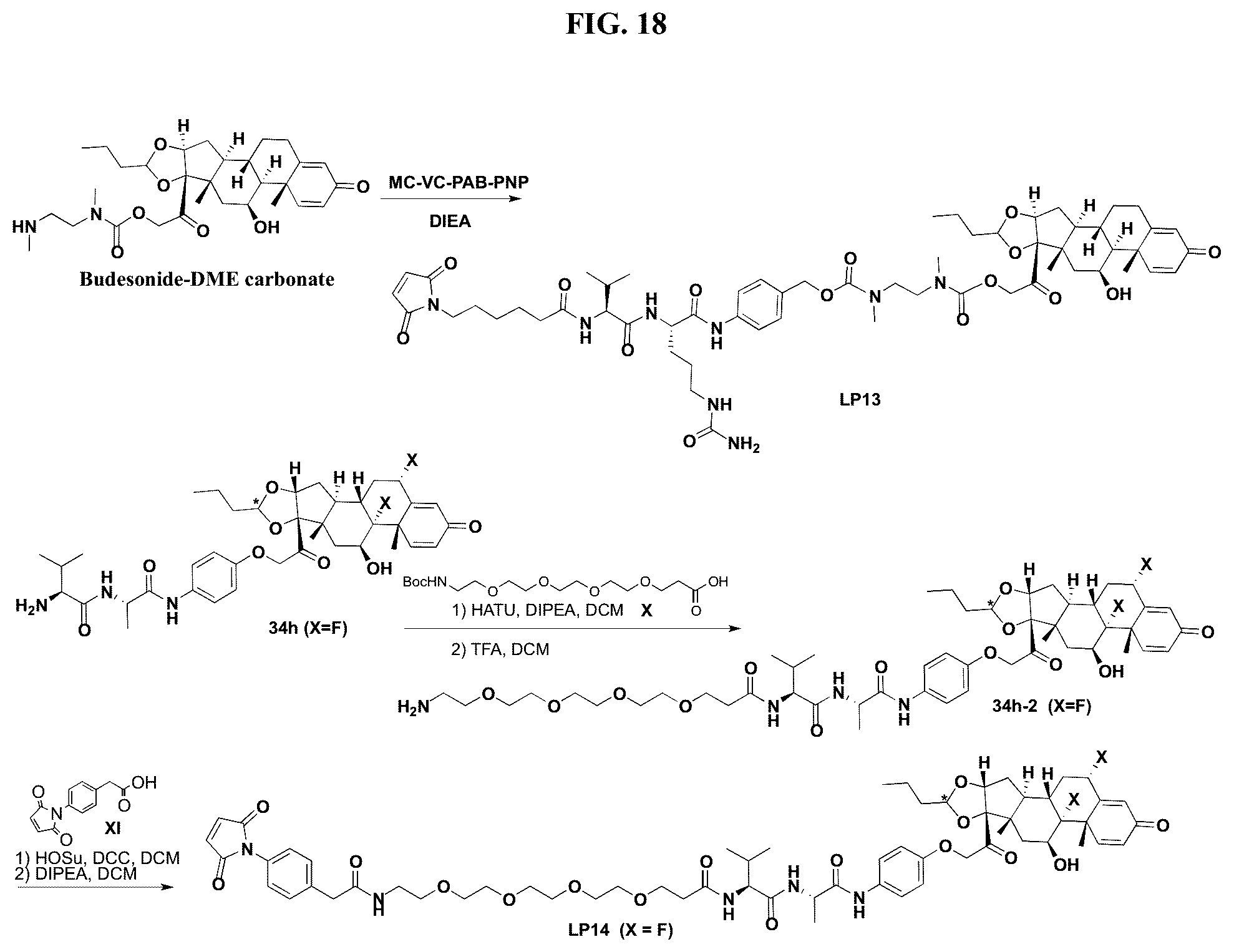 Patent US12377159 Figure 18 – Steroids and protein-conjugates thereof