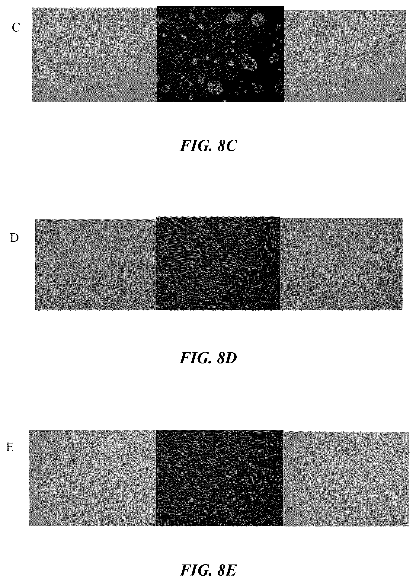 Patent US12377160 Figure 8 – Humanized anti-tissue factor antibody, antibody-drug conjugate prepared therefrom and use thereof