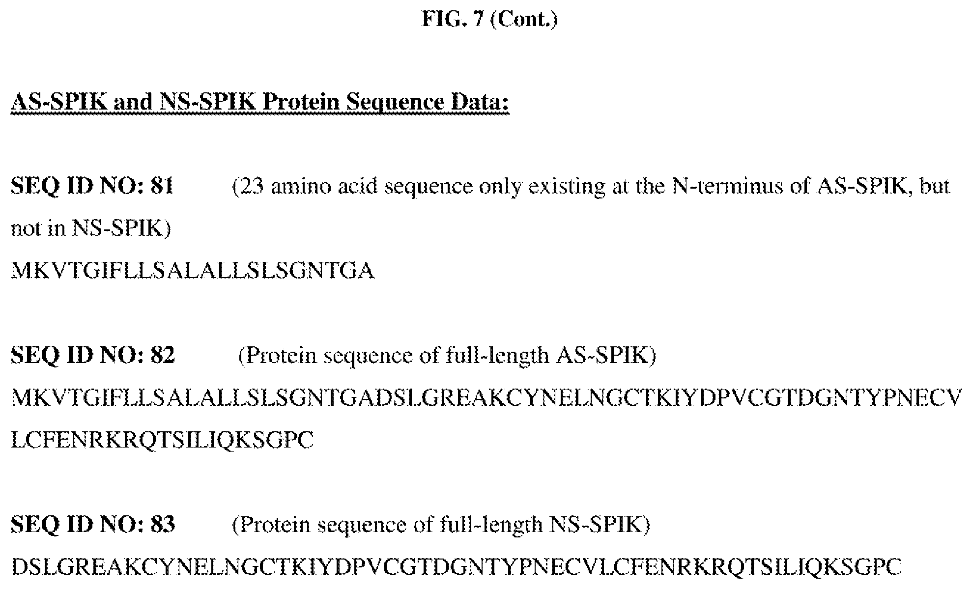 Patent US12377162 Figure 13 – Anti-serine protease inhibitor kazal (SPIK) antibodies, immunoconjugates, and methods of use