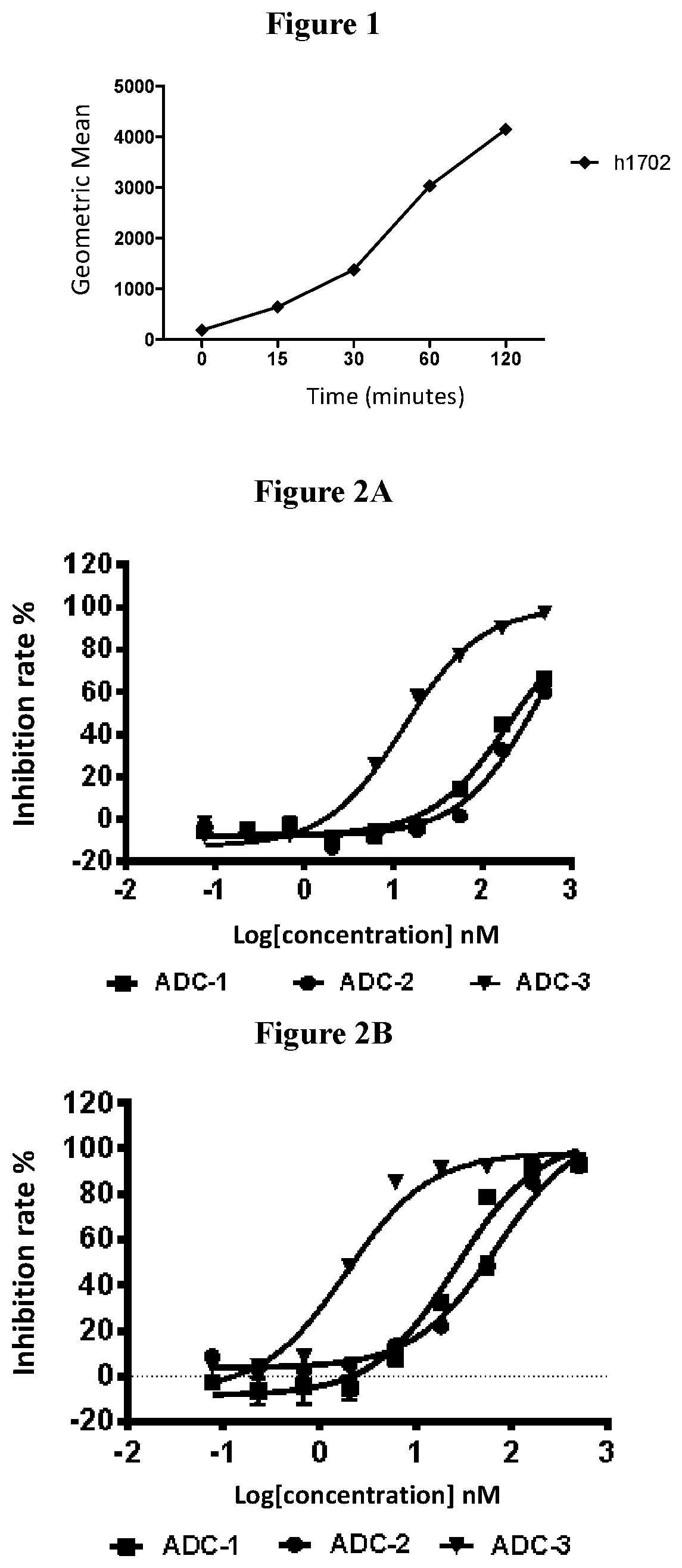 Patent US12377163 Figure 1 – Anti-B7H3 antibody-exatecan analog conjugate and medicinal use thereof