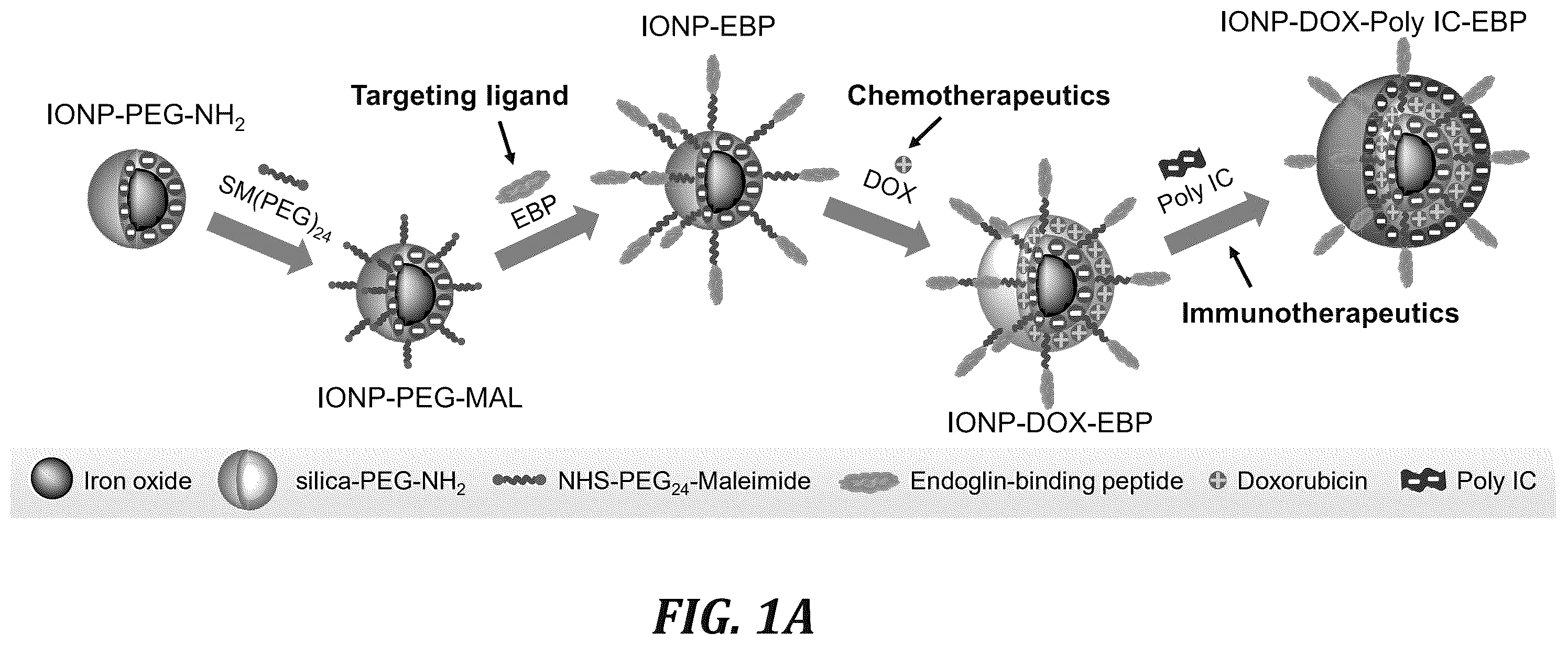 Patent US12377166 Figure 1 – Iron oxide nanoparticle for targeted chemo-immunotherapy
