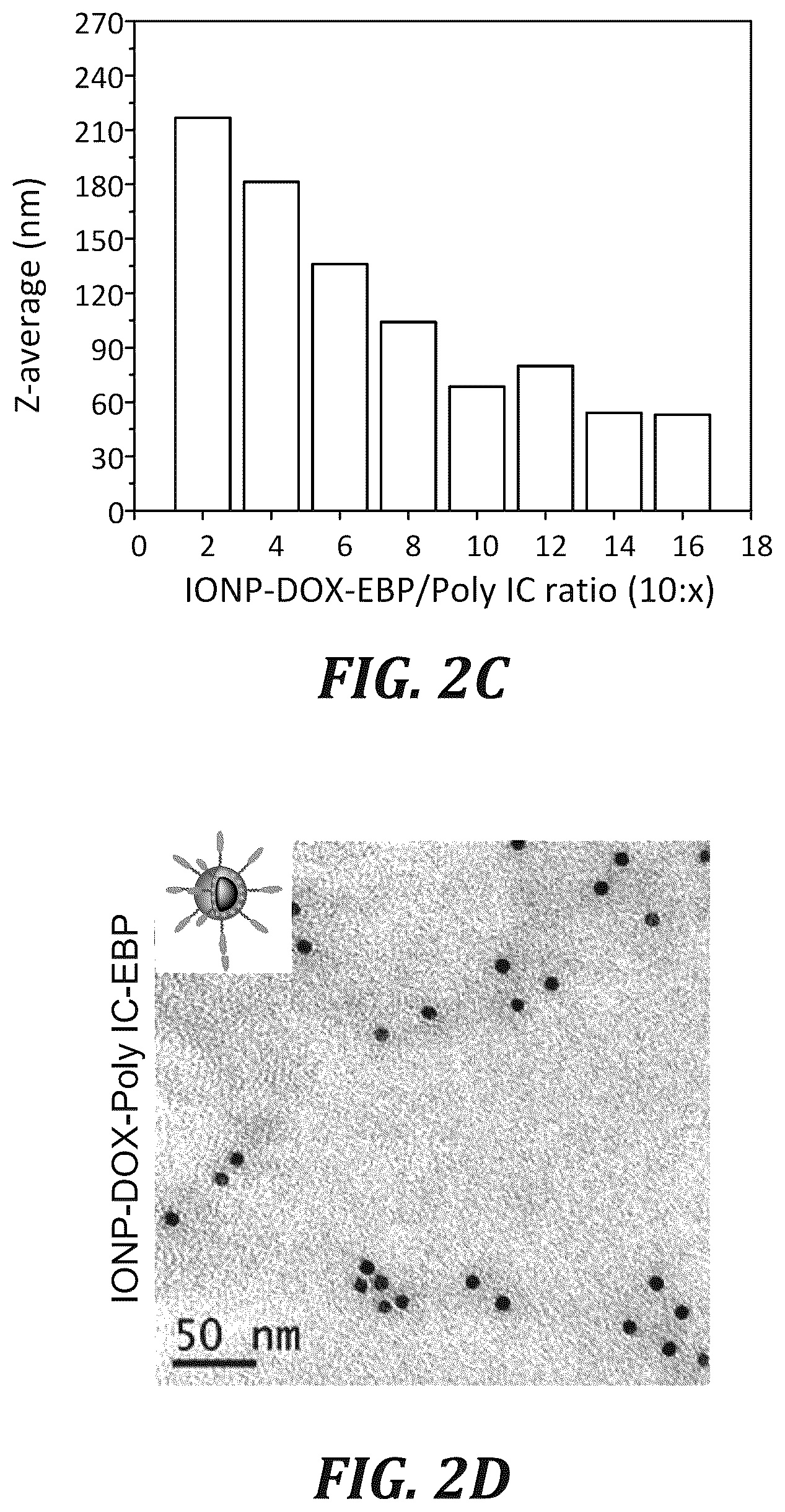 Patent US12377166 Figure 4 – Iron oxide nanoparticle for targeted chemo-immunotherapy