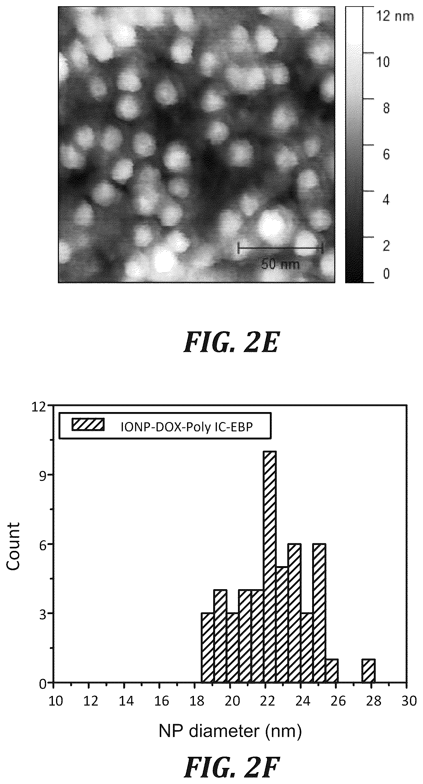 Patent US12377166 Figure 5 – Iron oxide nanoparticle for targeted chemo-immunotherapy