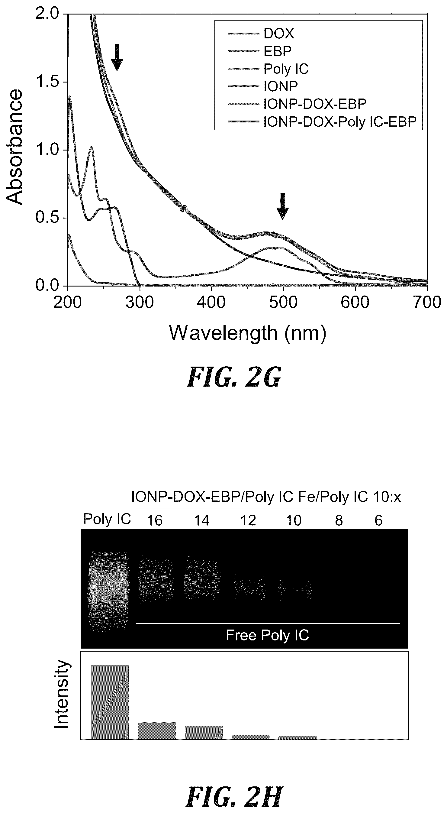 Patent US12377166 Figure 6 – Iron oxide nanoparticle for targeted chemo-immunotherapy