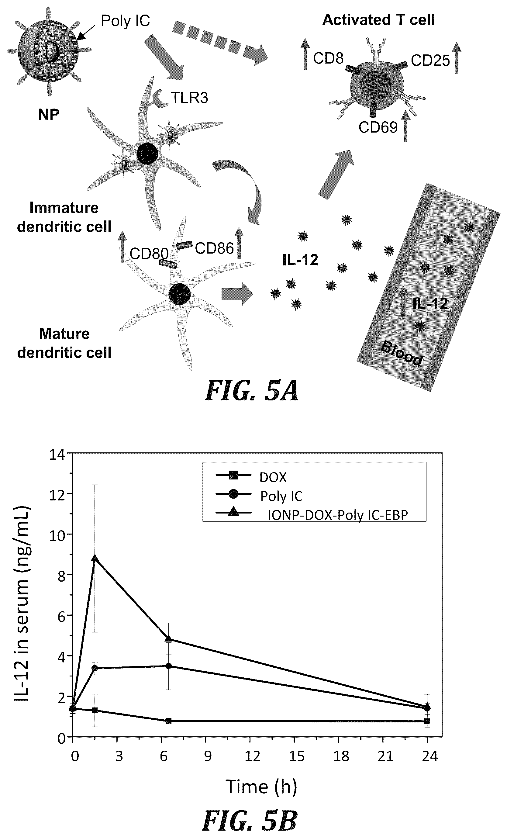 Patent US12377166 Figure 18 – Iron oxide nanoparticle for targeted chemo-immunotherapy