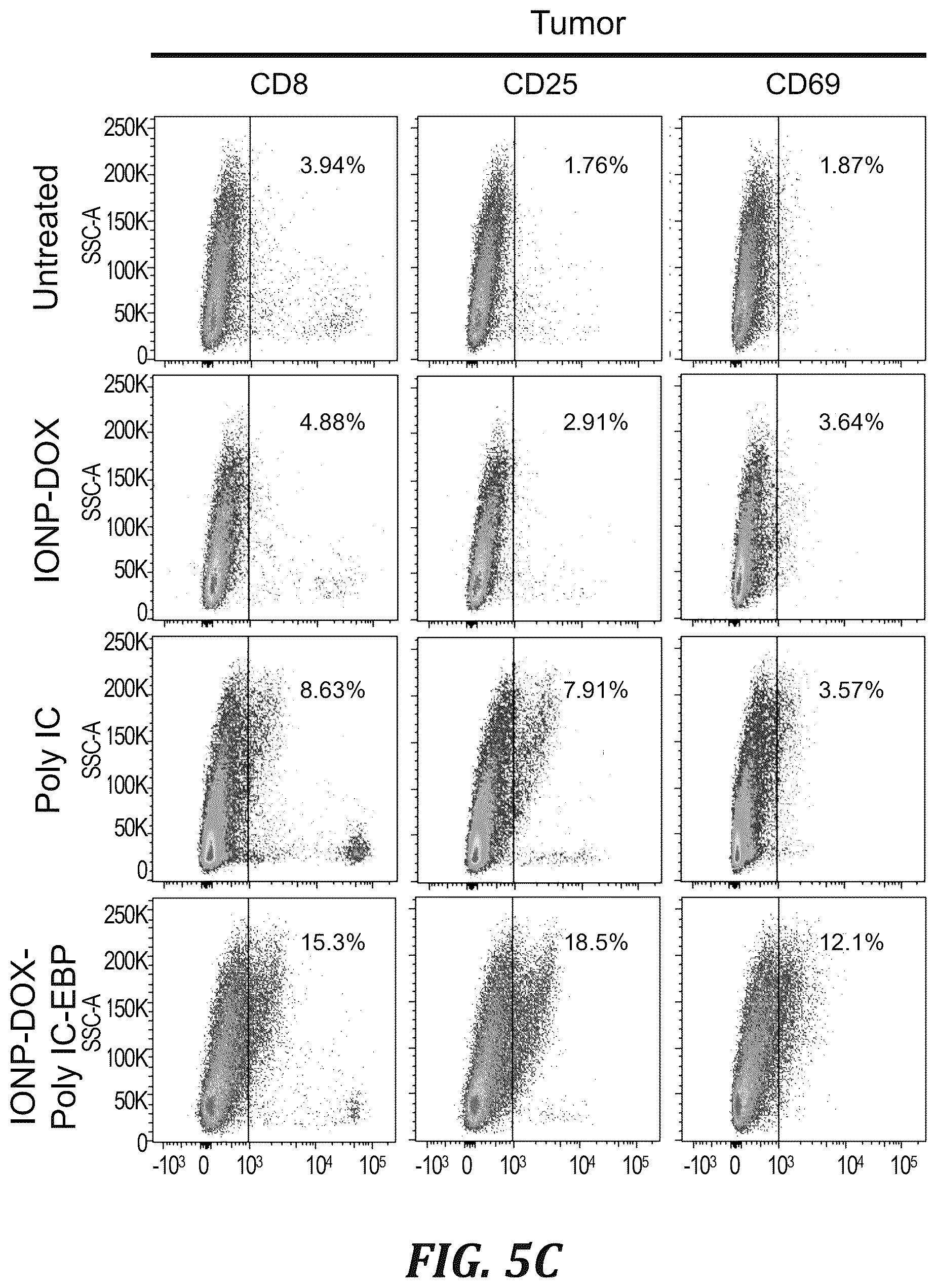 Patent US12377166 Figure 19 – Iron oxide nanoparticle for targeted chemo-immunotherapy