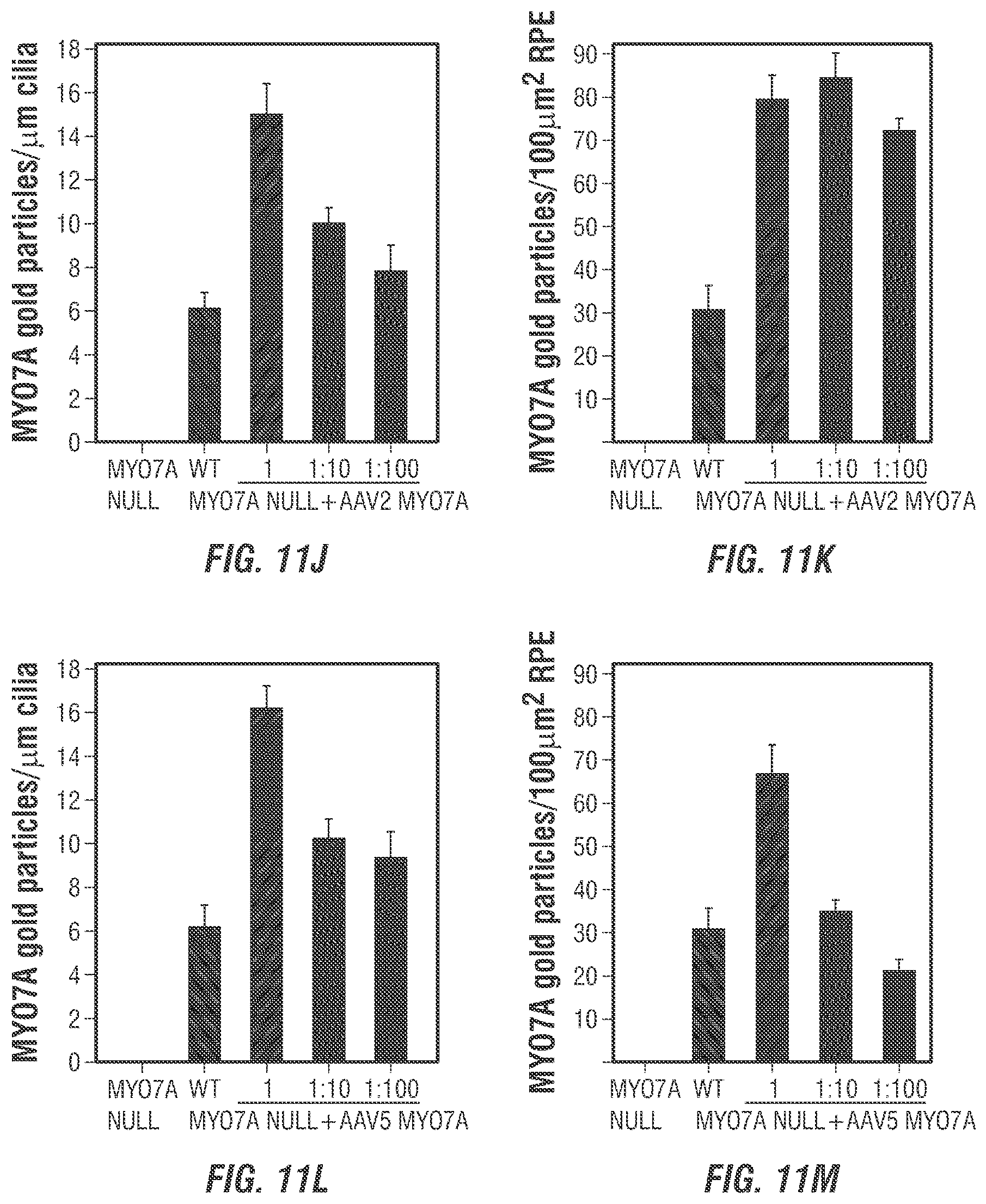Patent US12377169 Figure 9 – Dual AAV-MYO7A vectors with improved safety for the treatment of USH1B