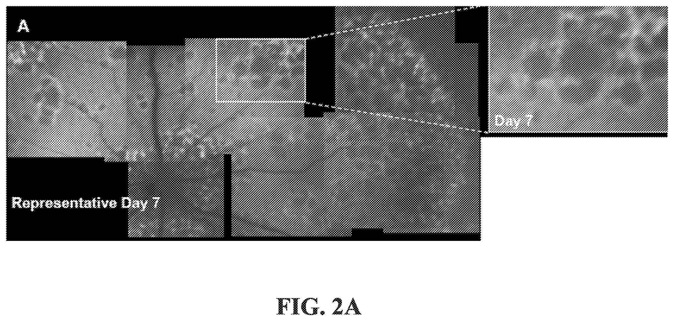 Patent US12377171 Figure 5 – Methods for treating and diagnosing blinding eye diseases
