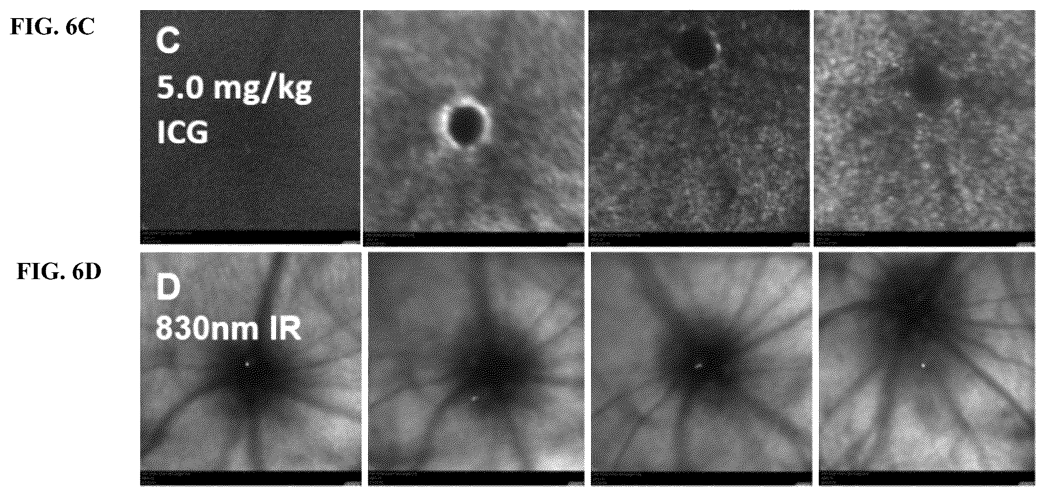 Patent US12377171 Figure 17 – Methods for treating and diagnosing blinding eye diseases