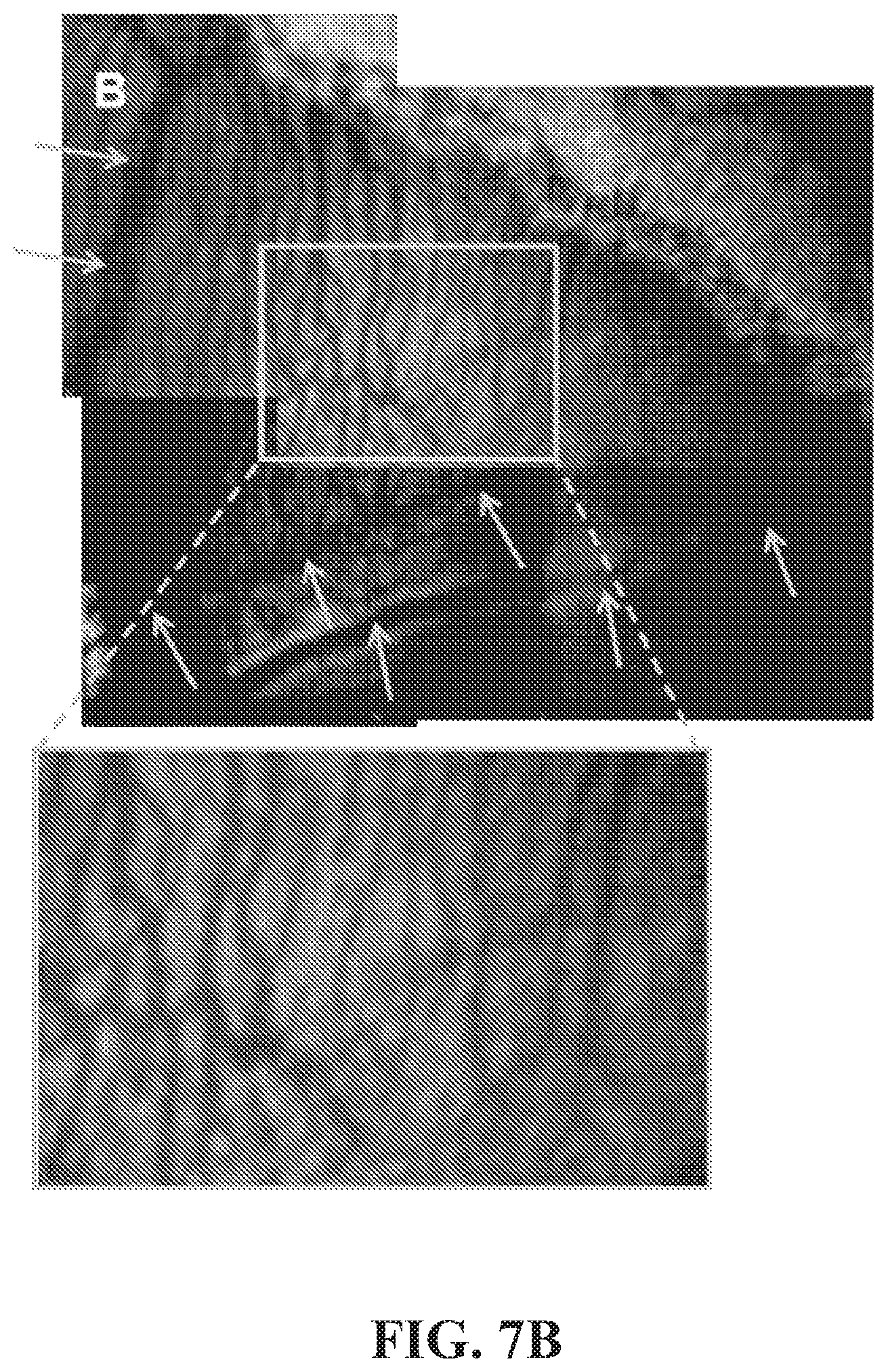 Patent US12377171 Figure 19 – Methods for treating and diagnosing blinding eye diseases