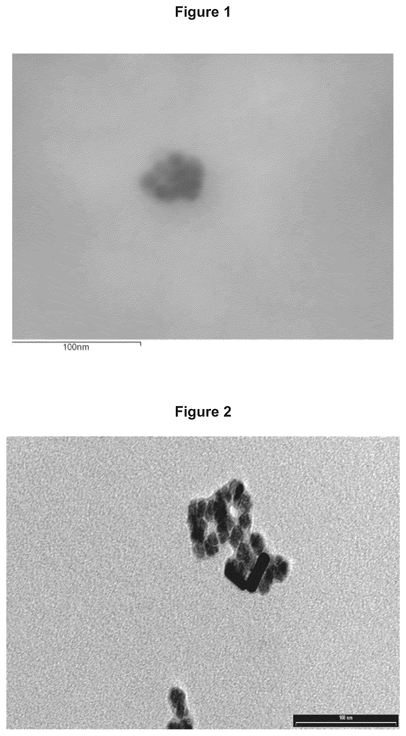 Patent US12377174 Figure 1 – Magnetic nanoparticles functionalized with N-(3,4-dihydroxyphenethyl)dodecanamide, production and use thereof