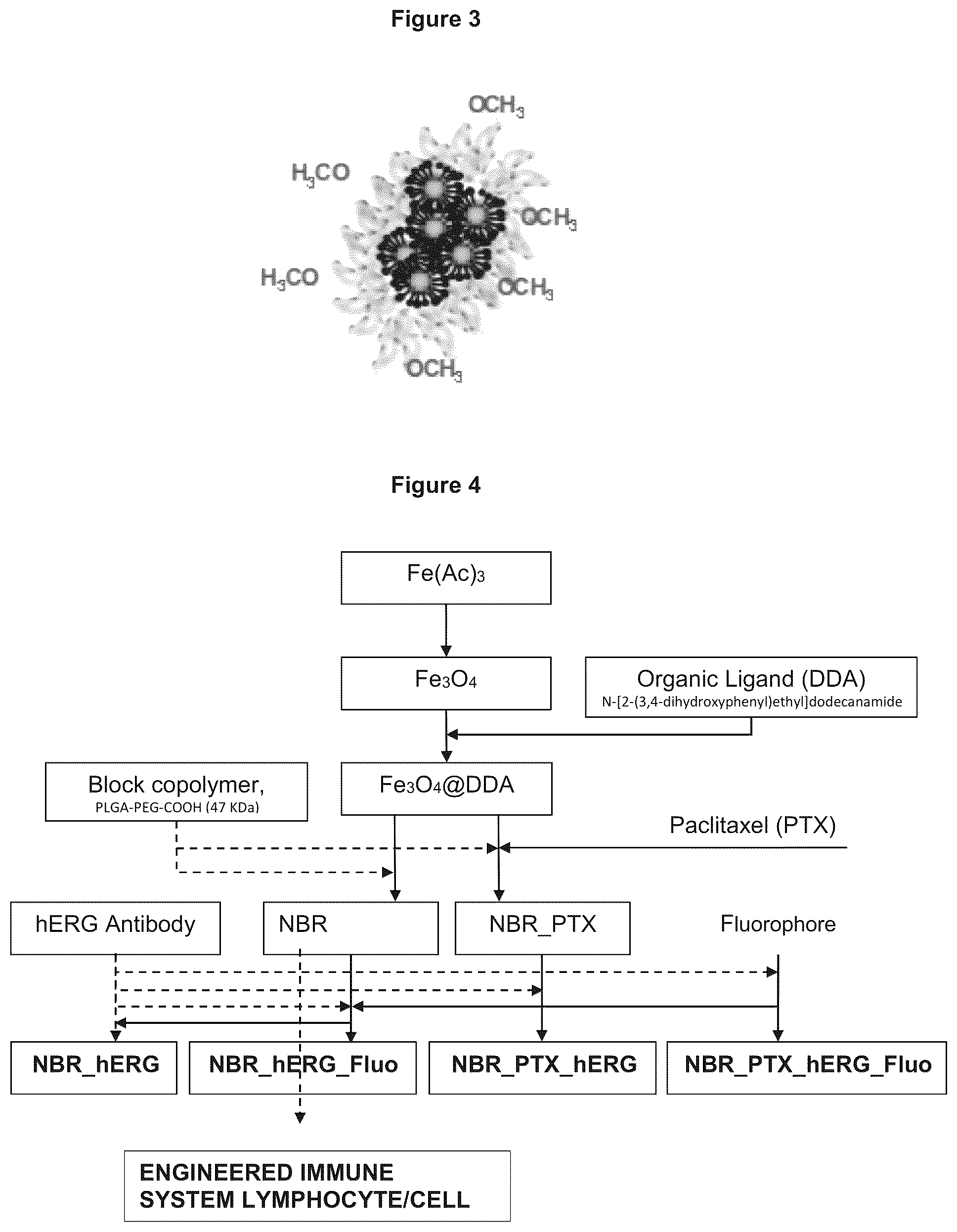 Patent US12377174 Figure 2 – Magnetic nanoparticles functionalized with N-(3,4-dihydroxyphenethyl)dodecanamide, production and use thereof