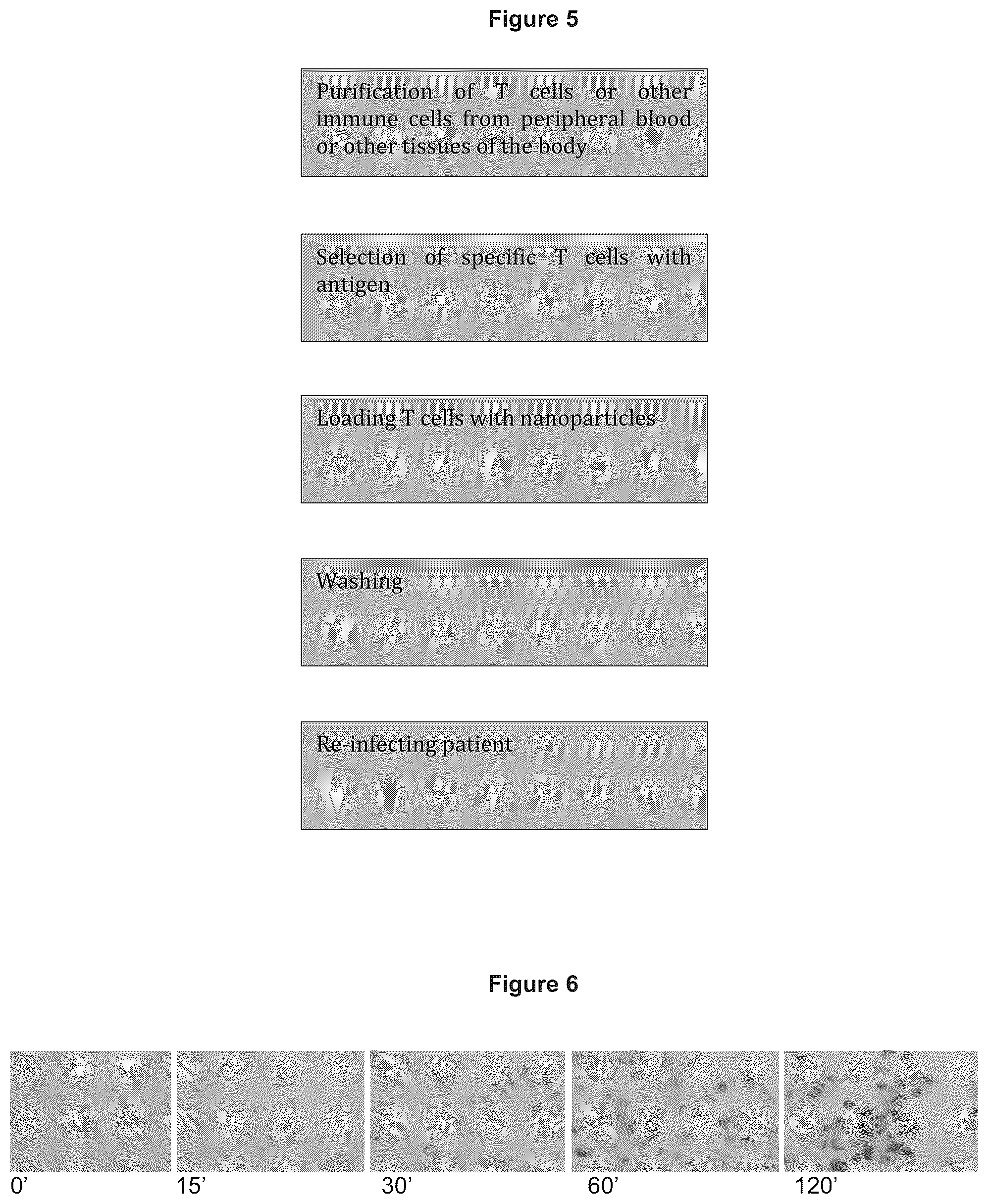 Patent US12377174 Figure 3 – Magnetic nanoparticles functionalized with N-(3,4-dihydroxyphenethyl)dodecanamide, production and use thereof