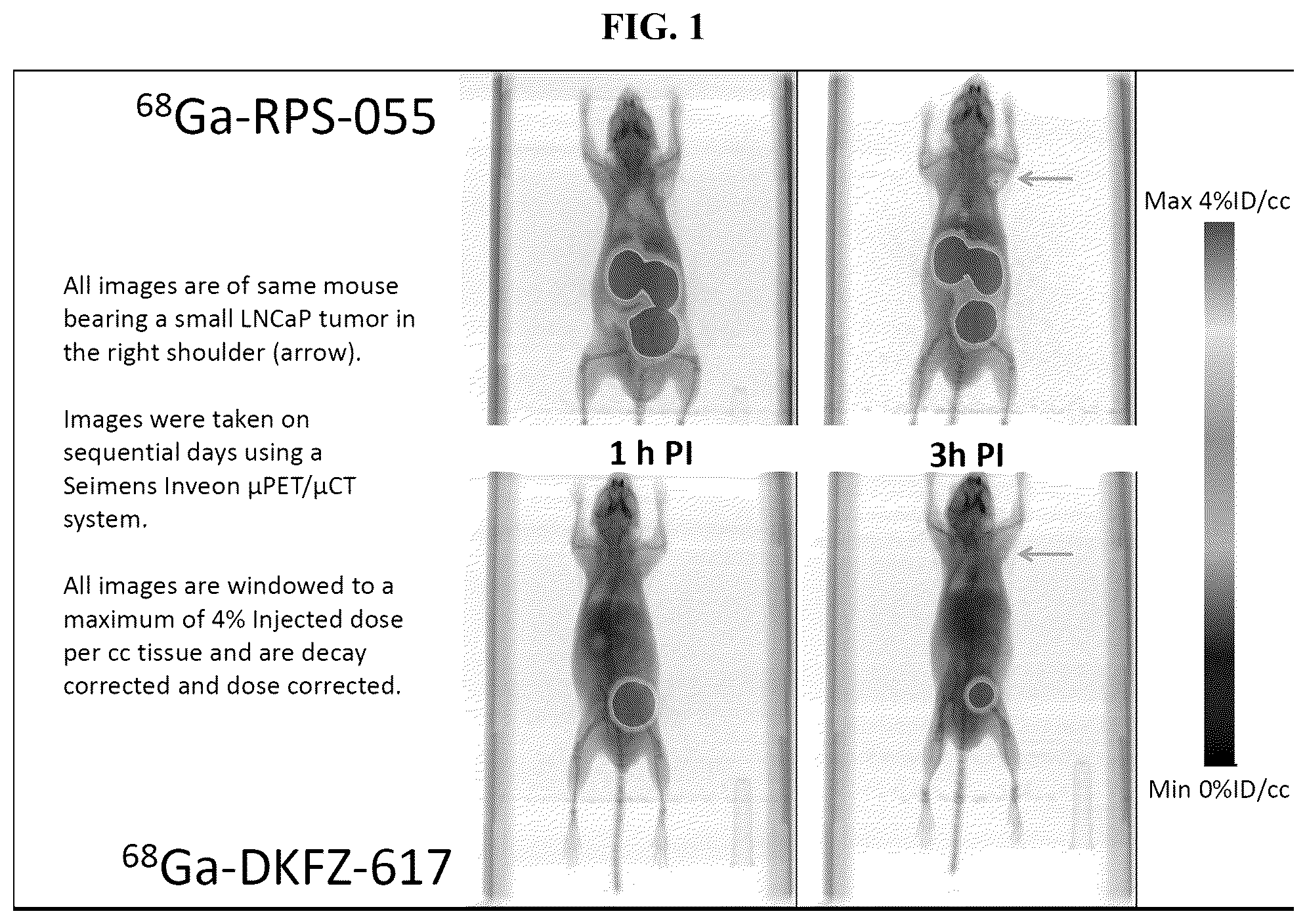 Patent US12377175 Figure 1 – Trifunctional constructs with tunable pharmacokinetics useful in imaging and anti-tumor therapies