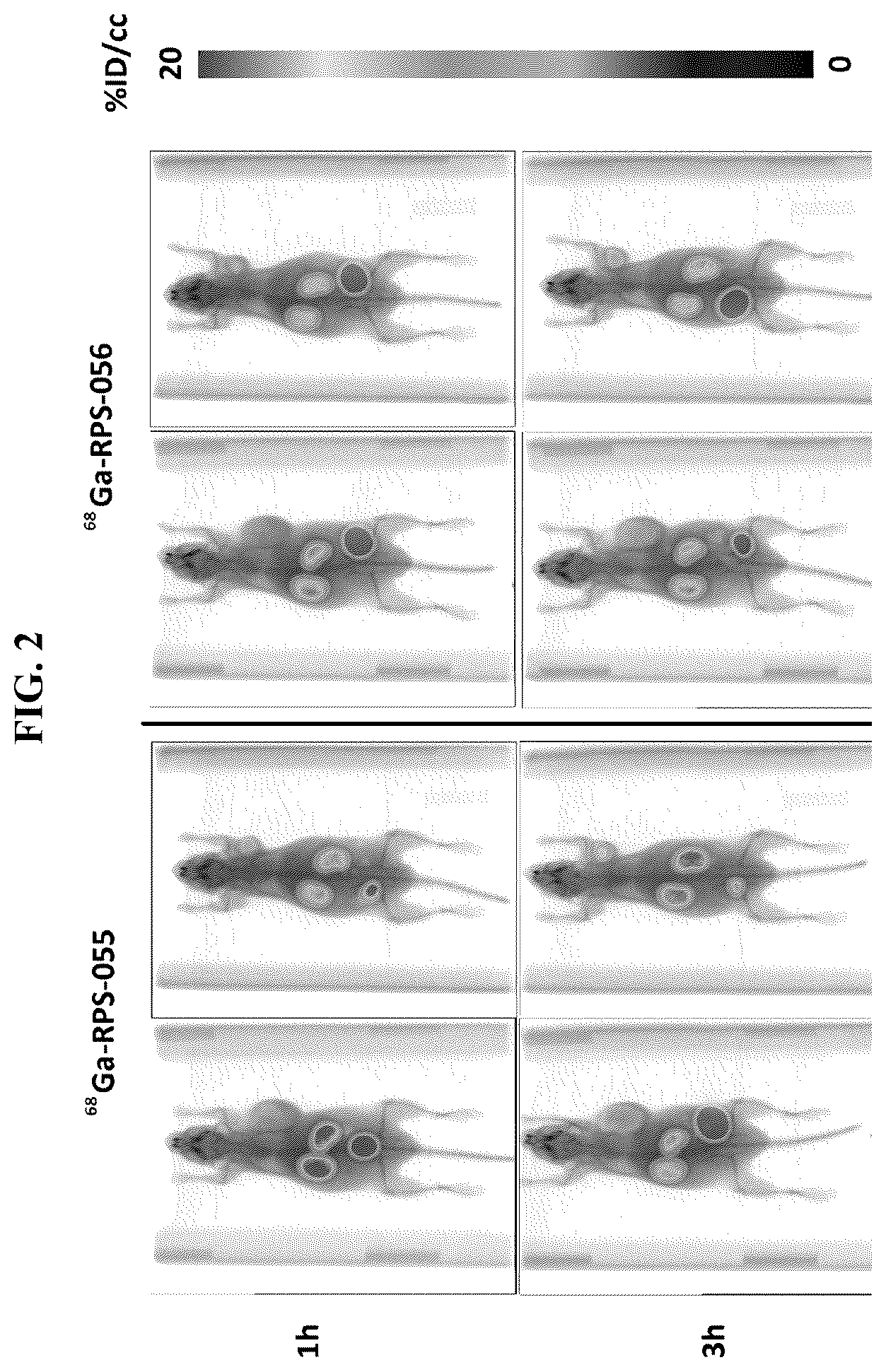 Patent US12377175 Figure 2 – Trifunctional constructs with tunable pharmacokinetics useful in imaging and anti-tumor therapies
