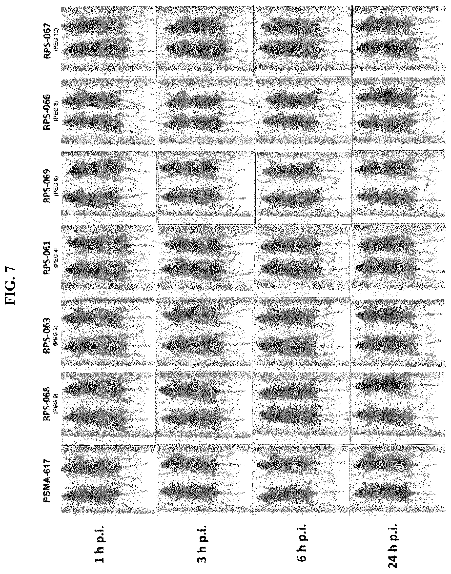 Patent US12377175 Figure 9 – Trifunctional constructs with tunable pharmacokinetics useful in imaging and anti-tumor therapies