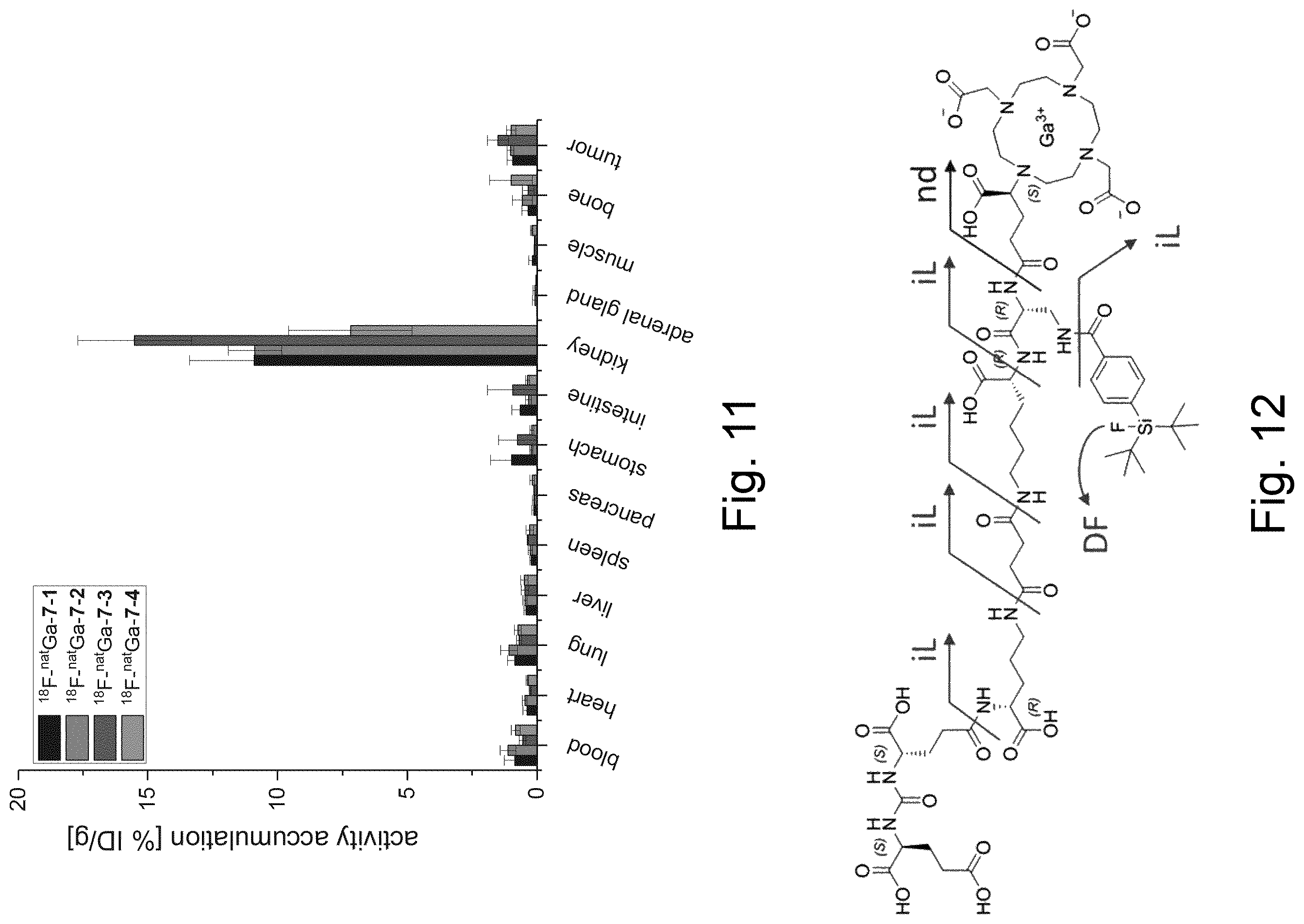 Patent US12377176 Figure 12 – Cancer diagnostic imaging agents