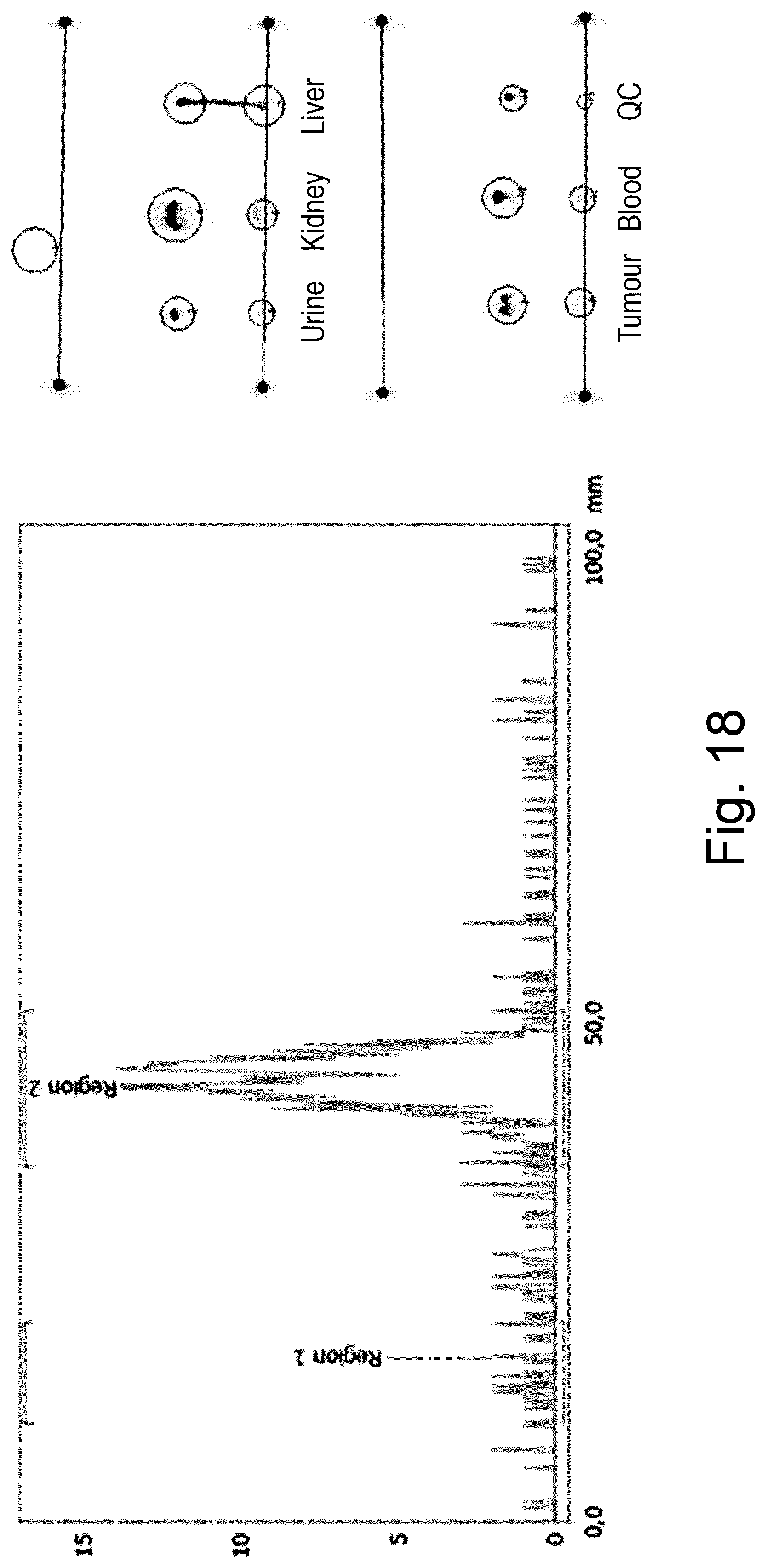 Patent US12377176 Figure 19 – Cancer diagnostic imaging agents