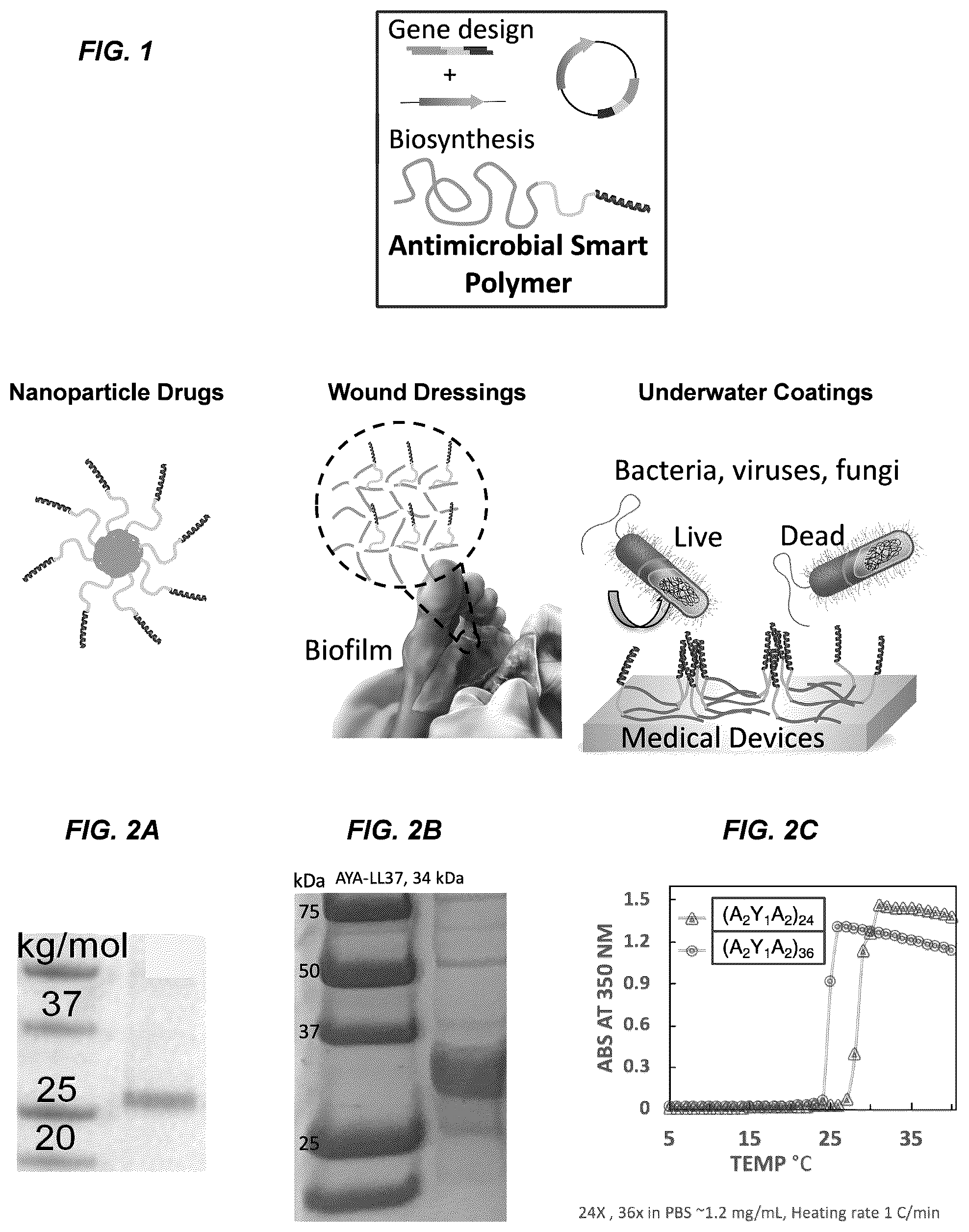 Patent US12377186 — Antimicrobial biopolymer compositions, methods of synthesis, and applications of use — Figure 1