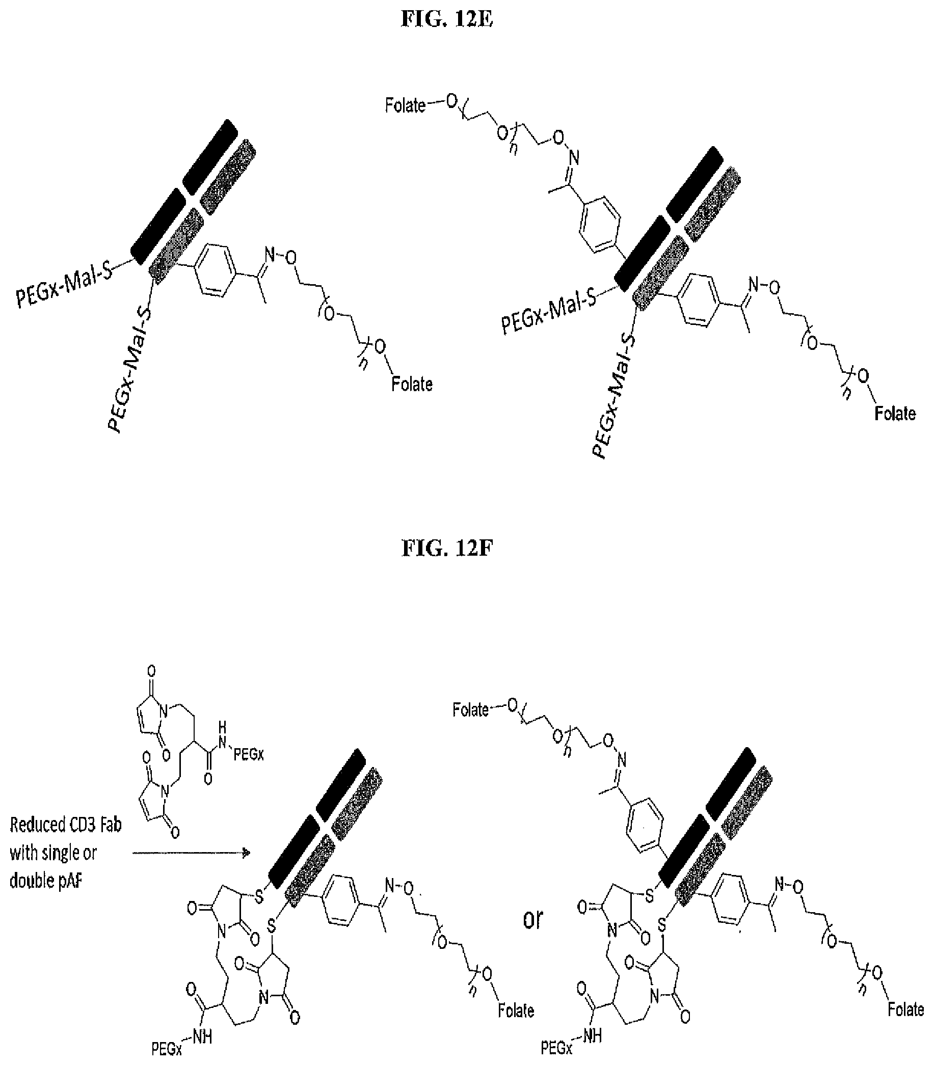 Patent US12377294 Figure 15 – Anti-CD3 antibody folate bioconjugates and their uses