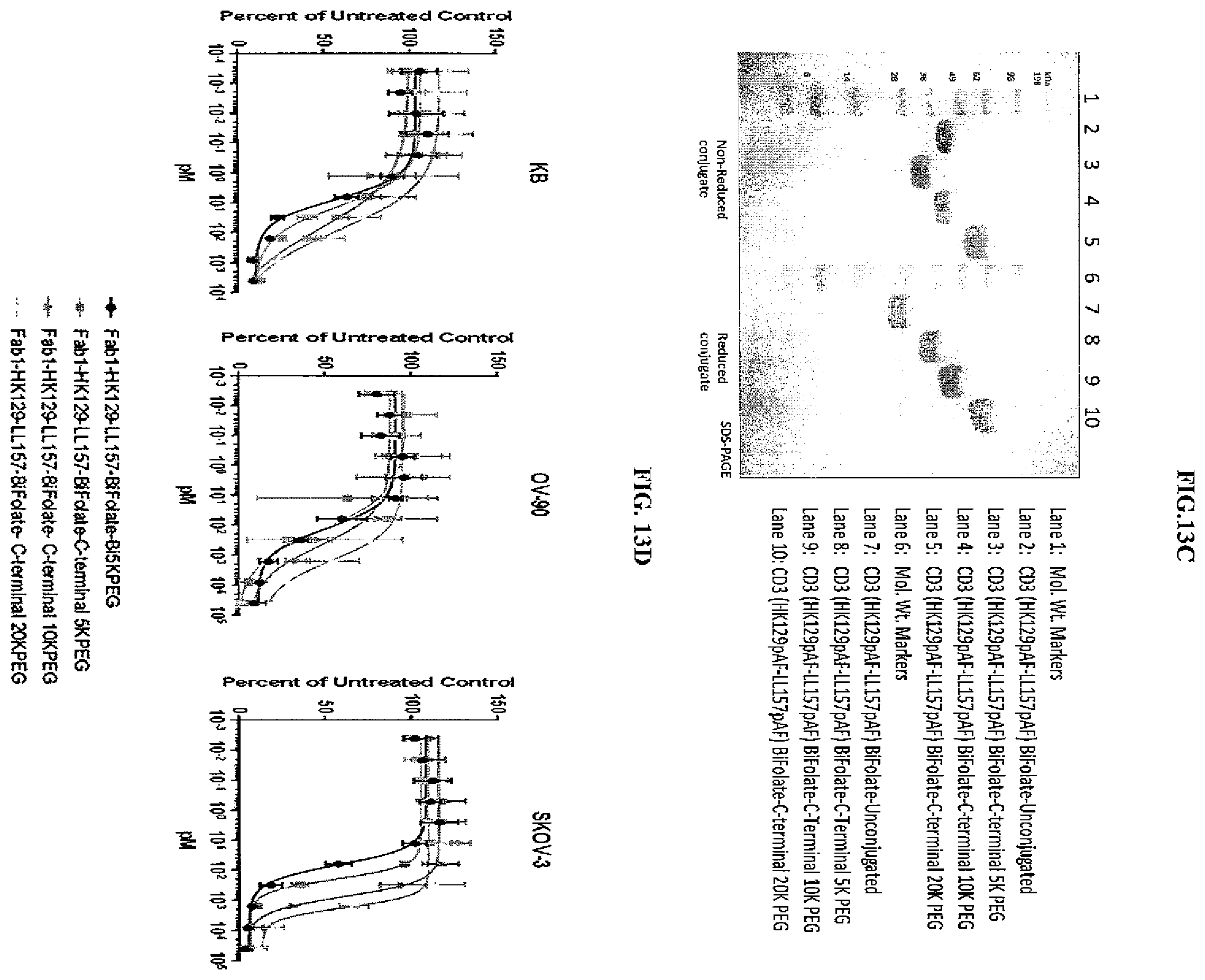Patent US12377294 Figure 17 – Anti-CD3 antibody folate bioconjugates and their uses