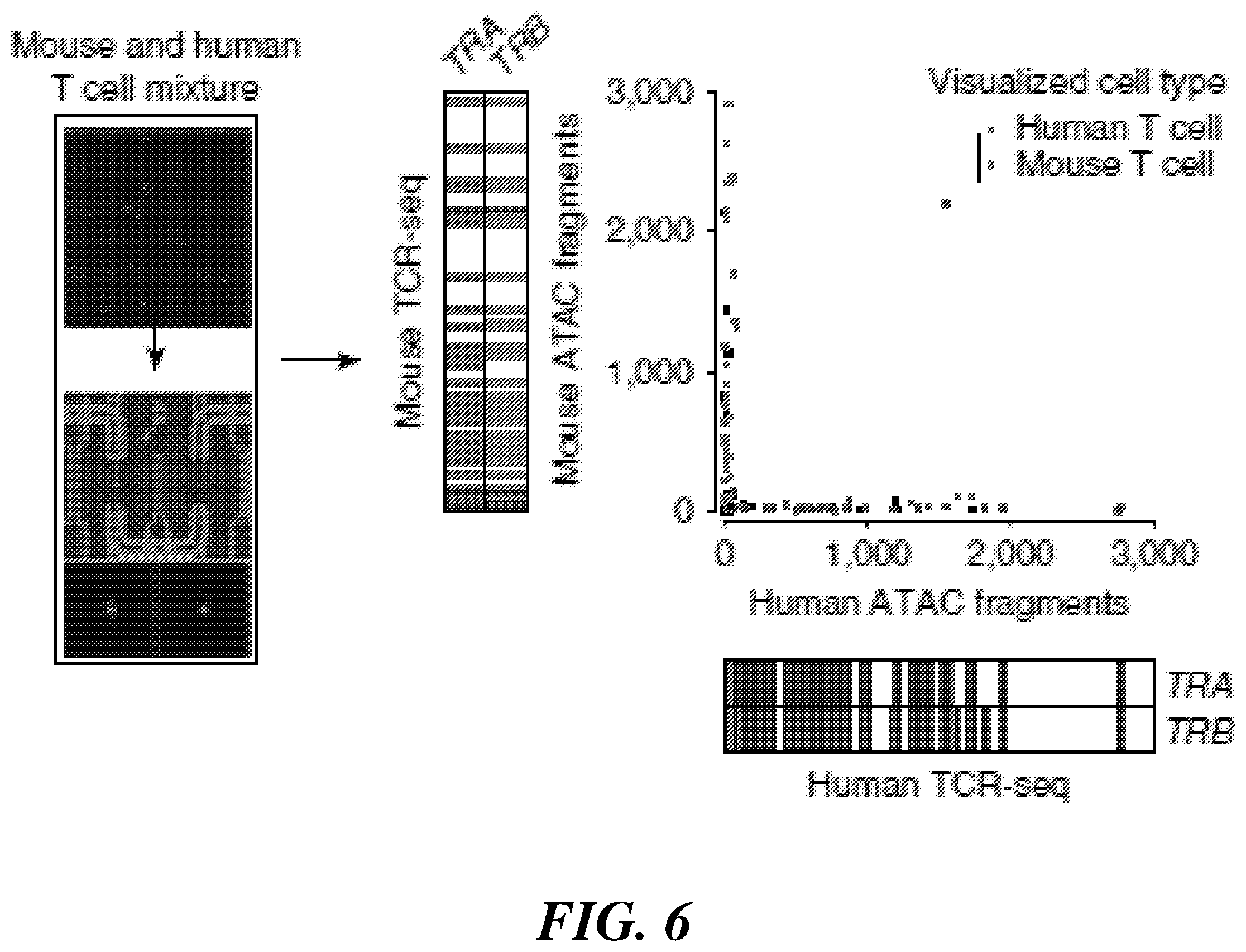 Patent US12377396 Figure 6 – Systems and methods for multiplexed measurements in single and ensemble cells