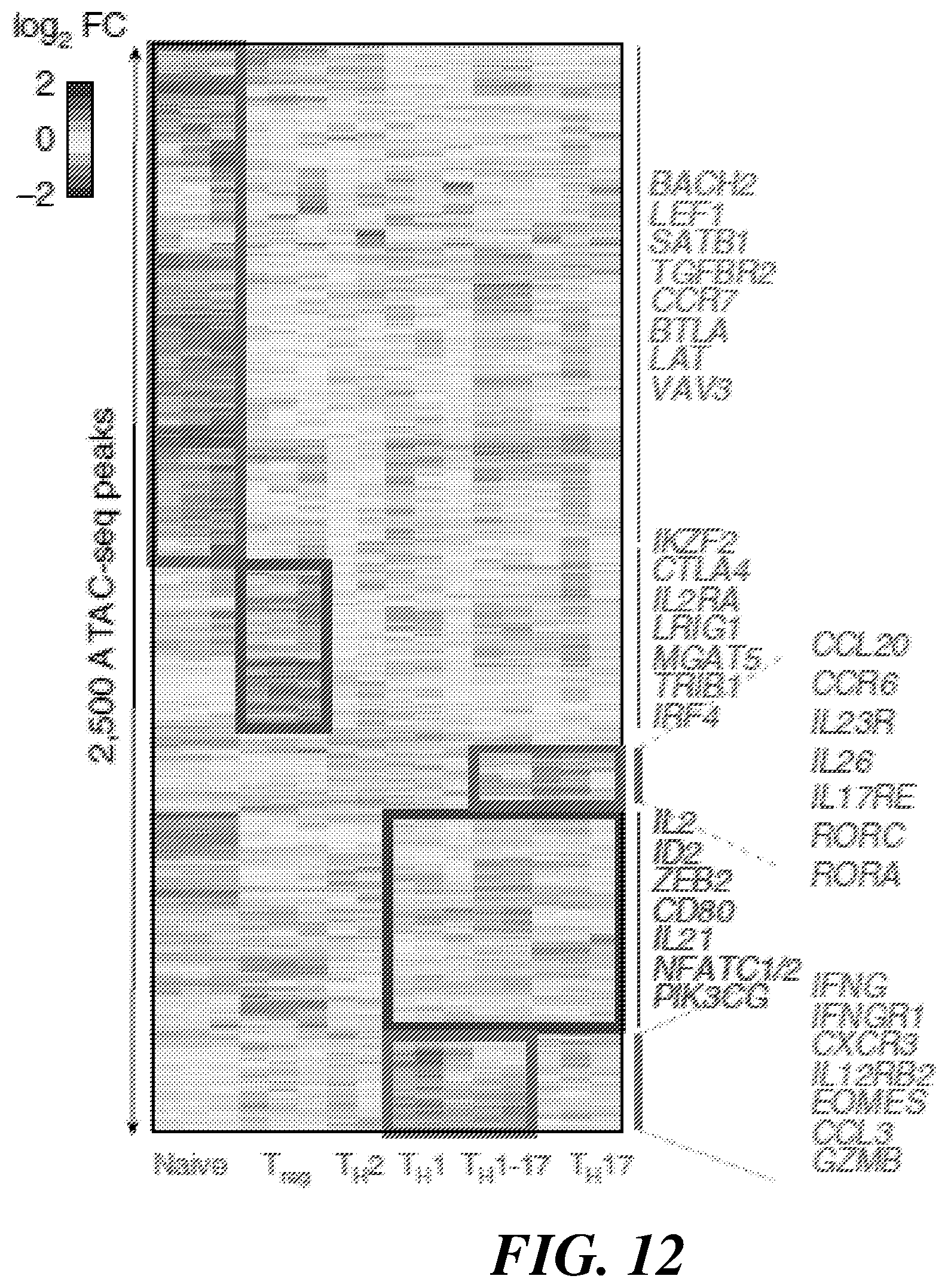 Patent US12377396 Figure 12 – Systems and methods for multiplexed measurements in single and ensemble cells