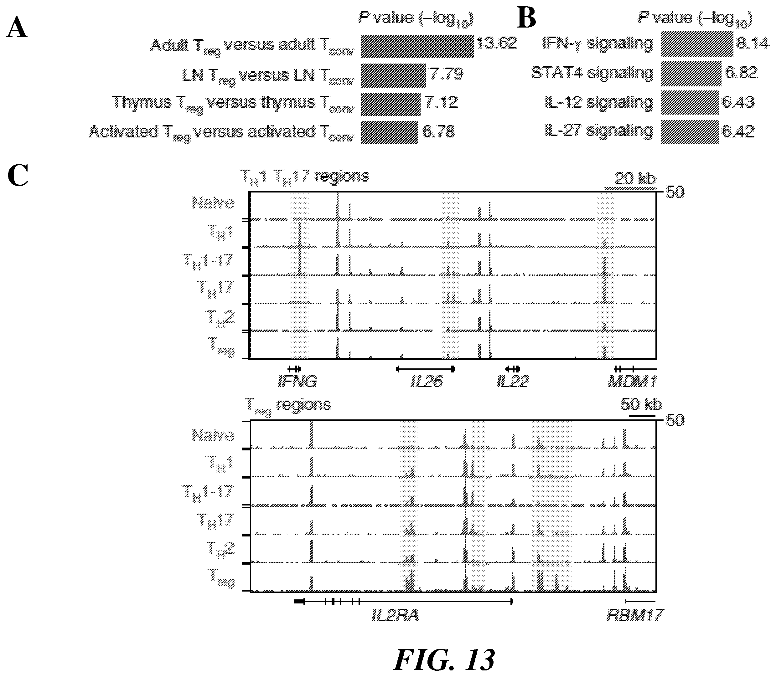 Patent US12377396 Figure 13 – Systems and methods for multiplexed measurements in single and ensemble cells