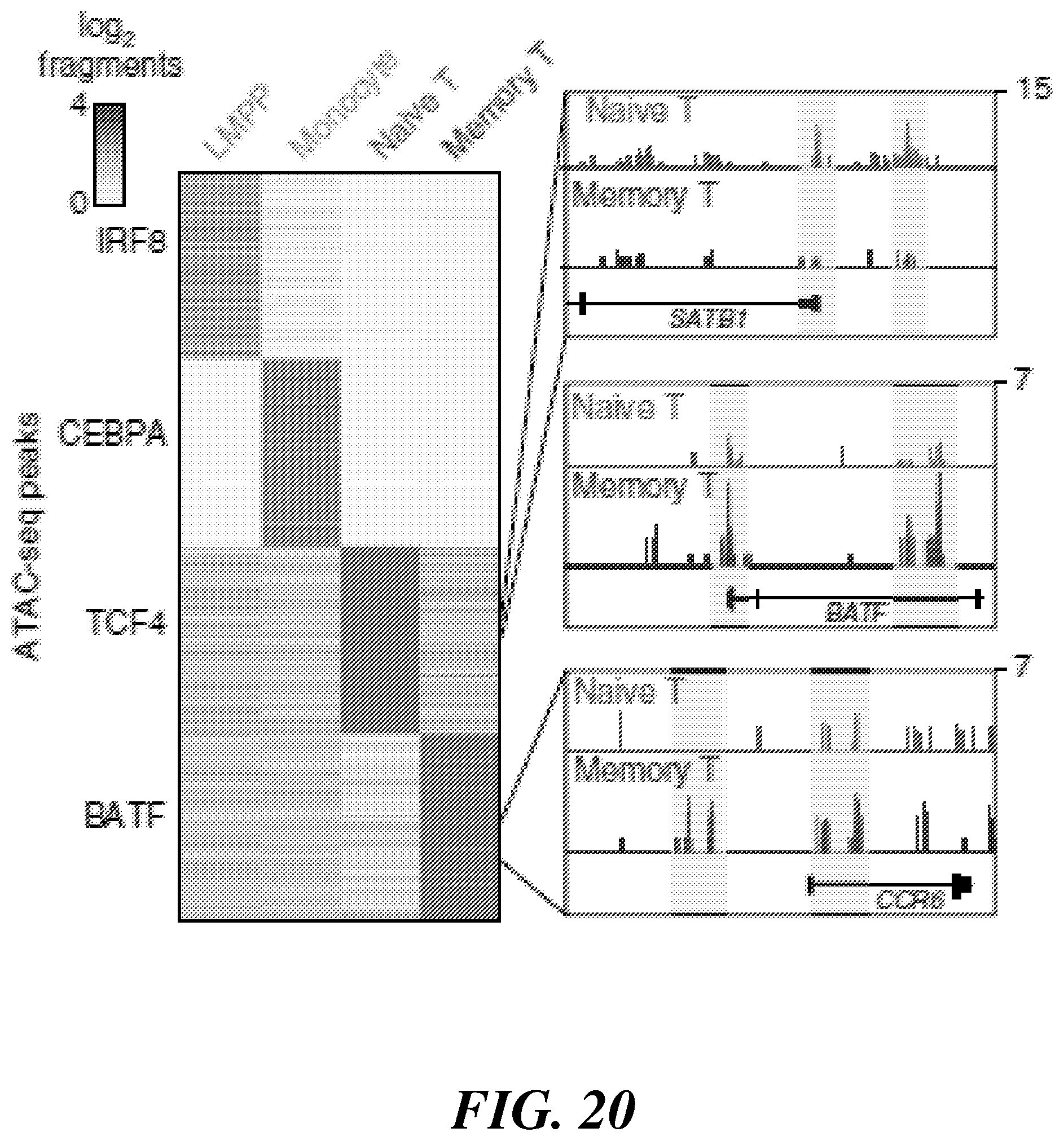 Patent US12377396 Figure 20 – Systems and methods for multiplexed measurements in single and ensemble cells