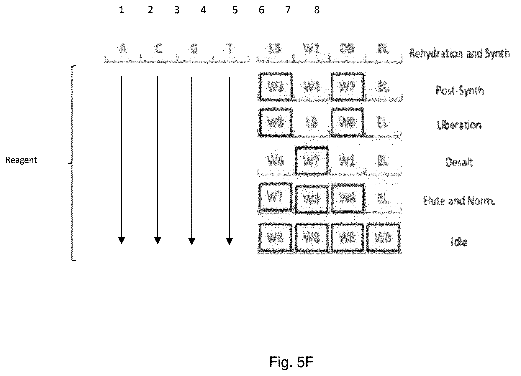 Patent US12377397 Figure 19 – Systems, apparatus and kits for enzymatic polynucleotide synthesis