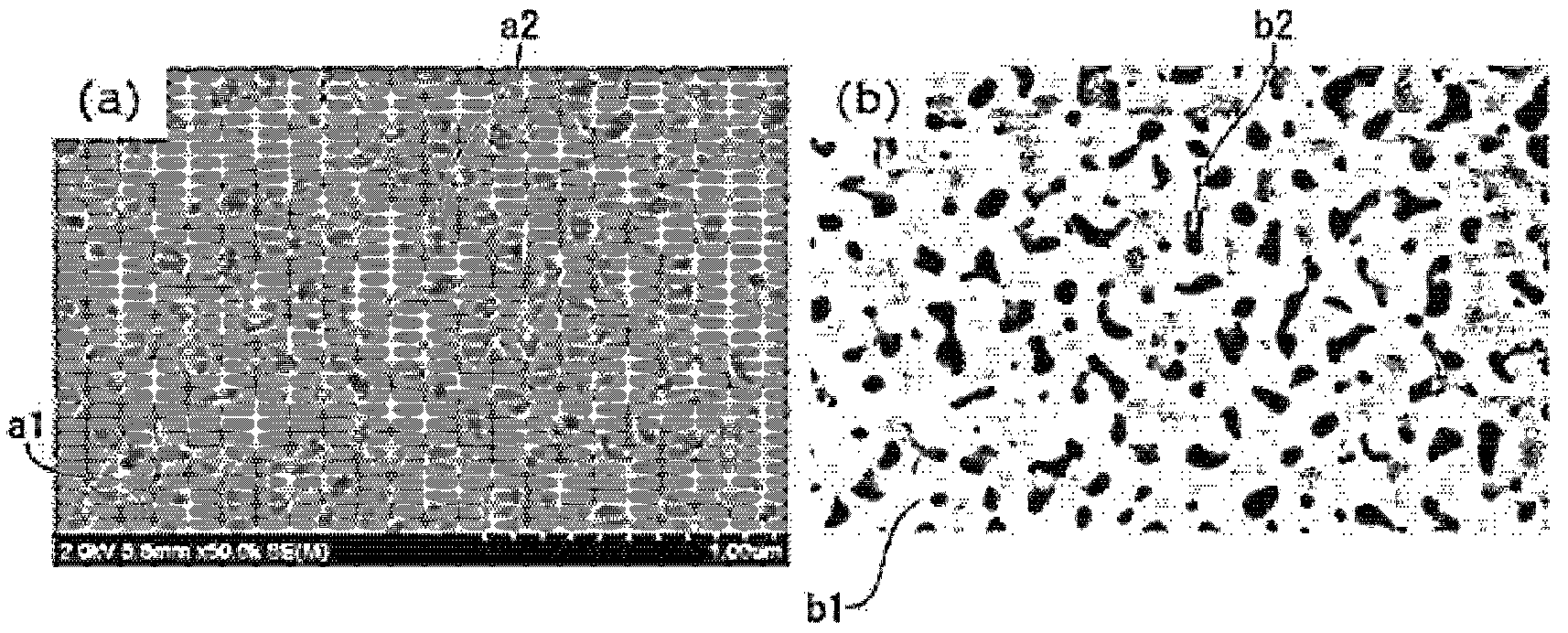 Patent US12377409 Figure 1 – Inorganic porous carrier, and production method for nucleic acid using same