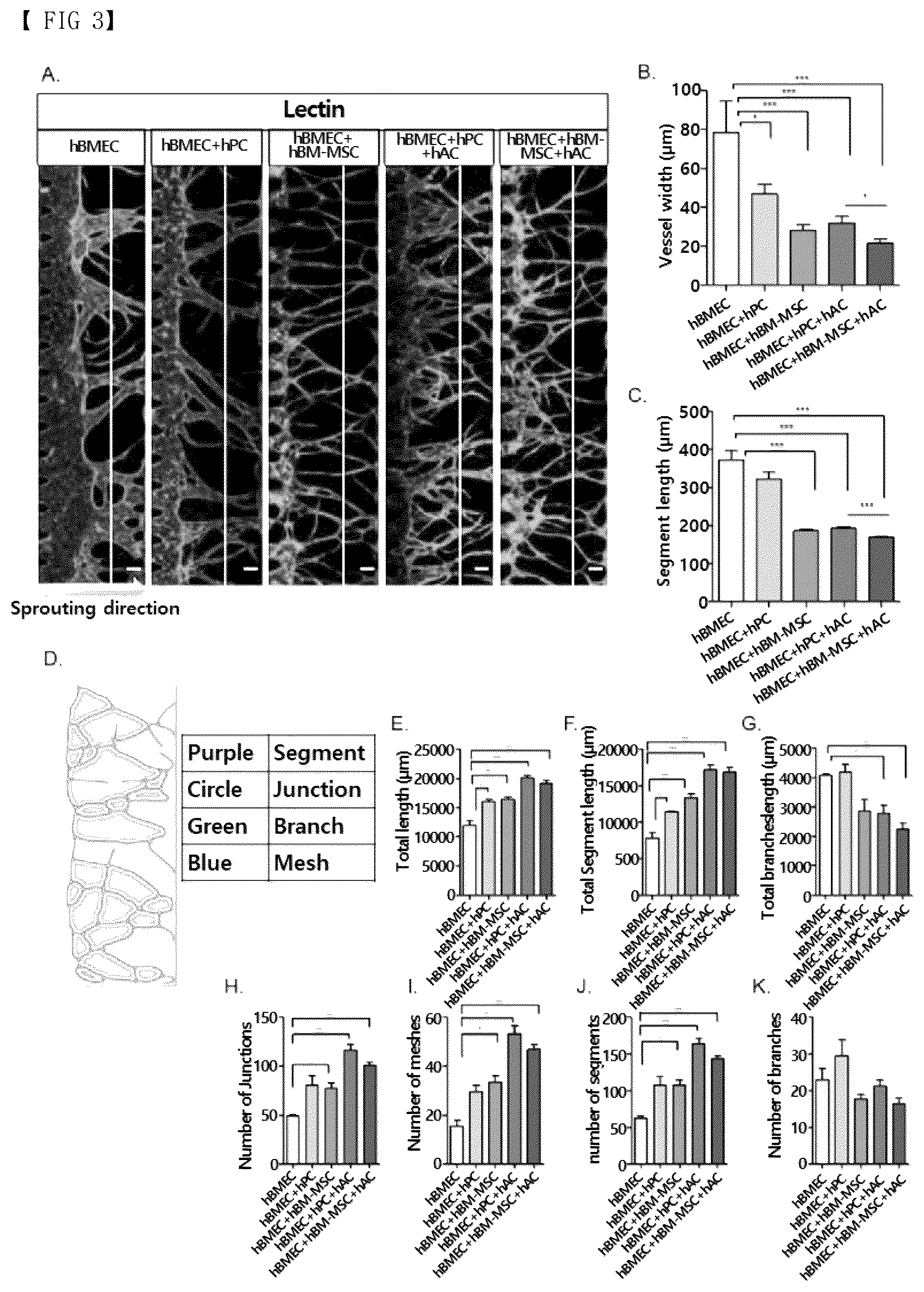 Patent US12377413 Figure 3 – Blood brain barrier-on-a-chip