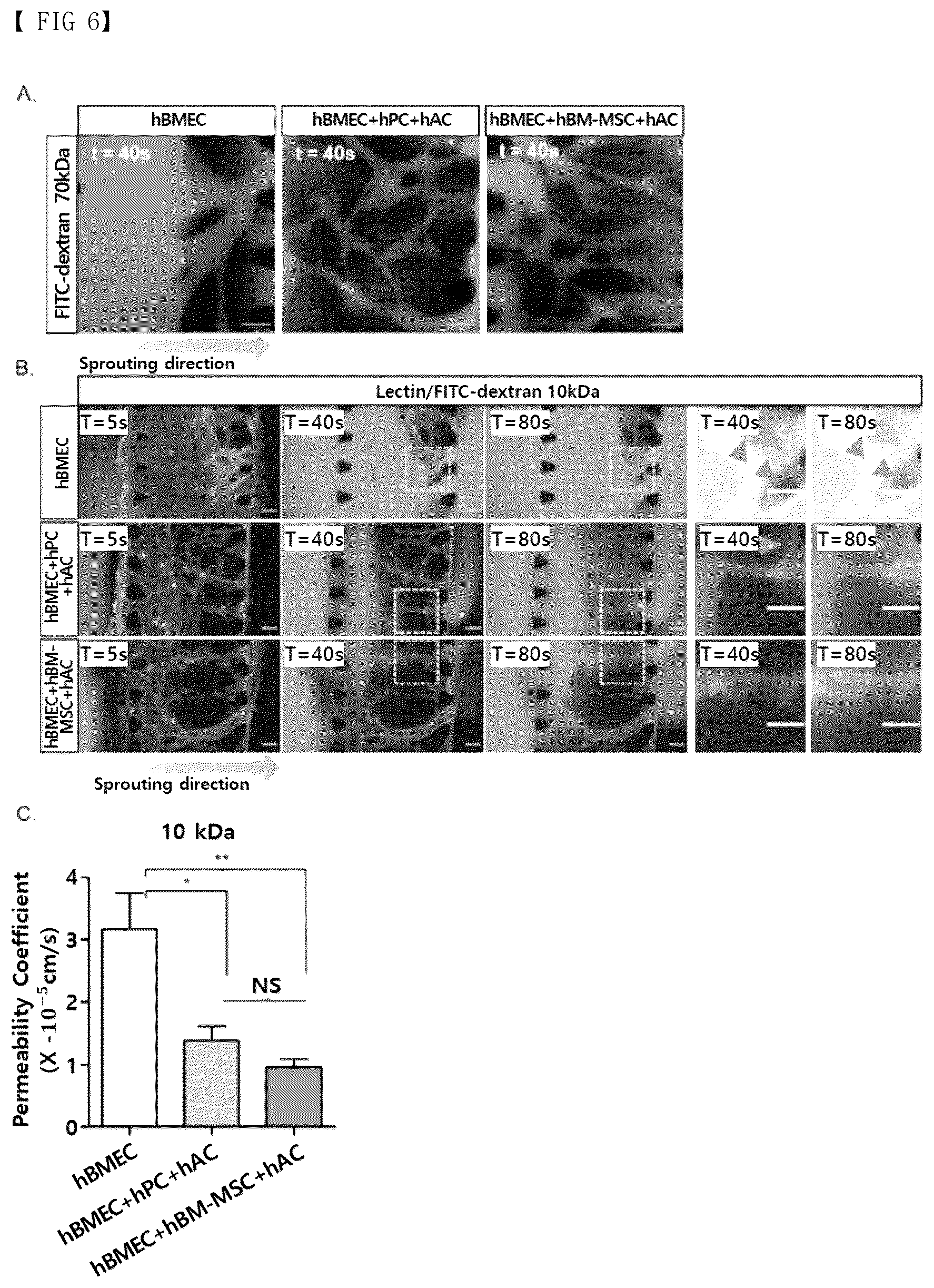 Patent US12377413 Figure 6 – Blood brain barrier-on-a-chip