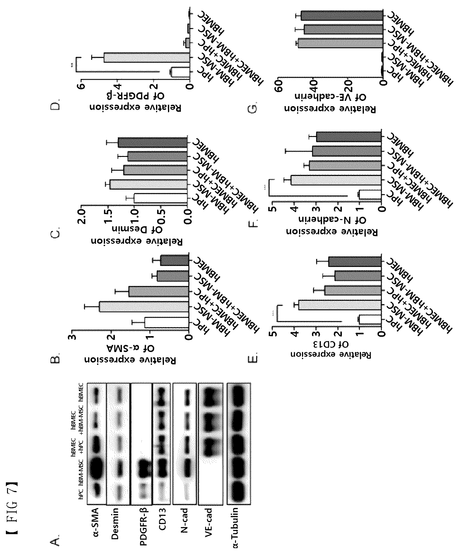 Patent US12377413 Figure 7 – Blood brain barrier-on-a-chip