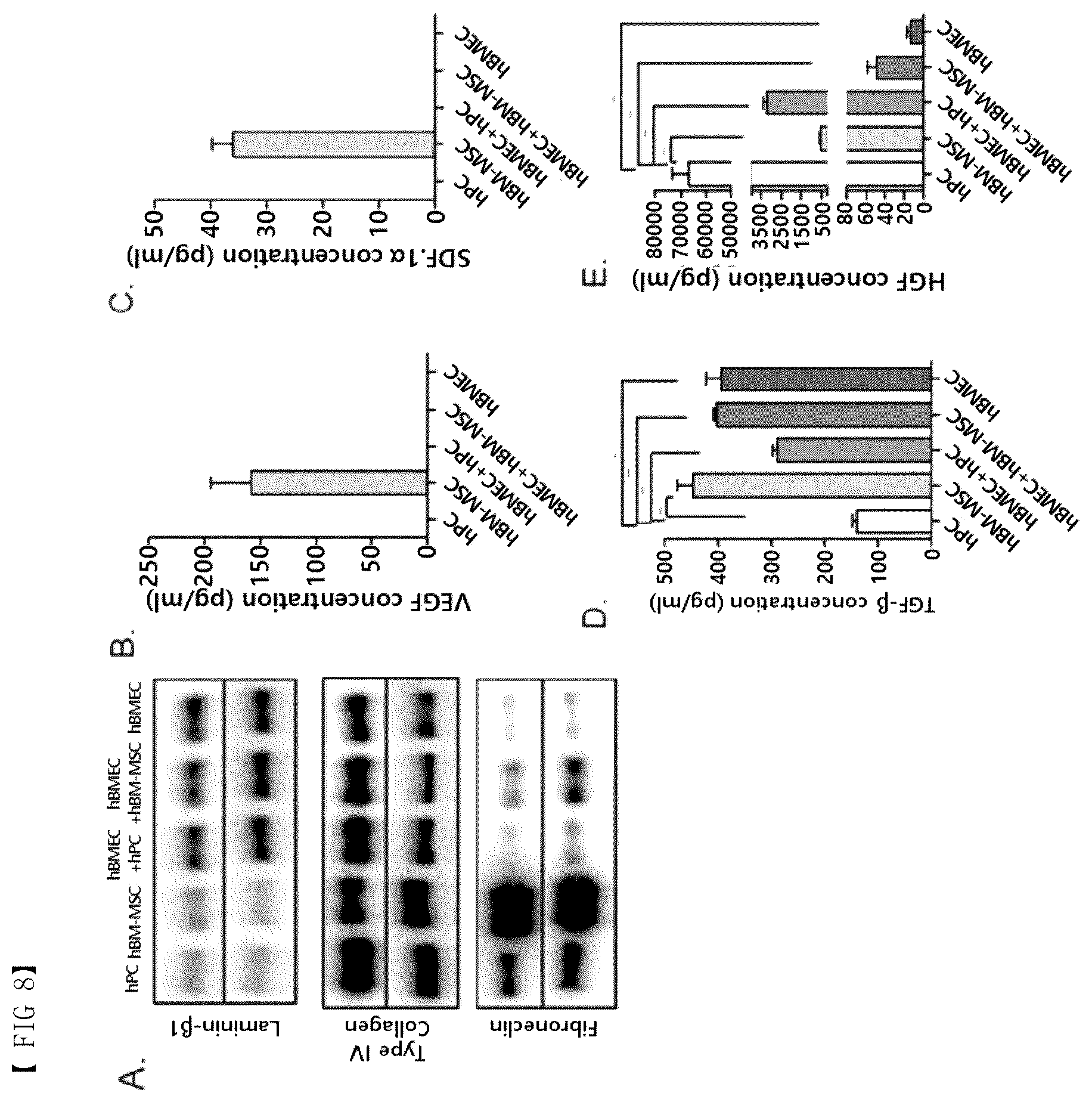 Patent US12377413 Figure 8 – Blood brain barrier-on-a-chip