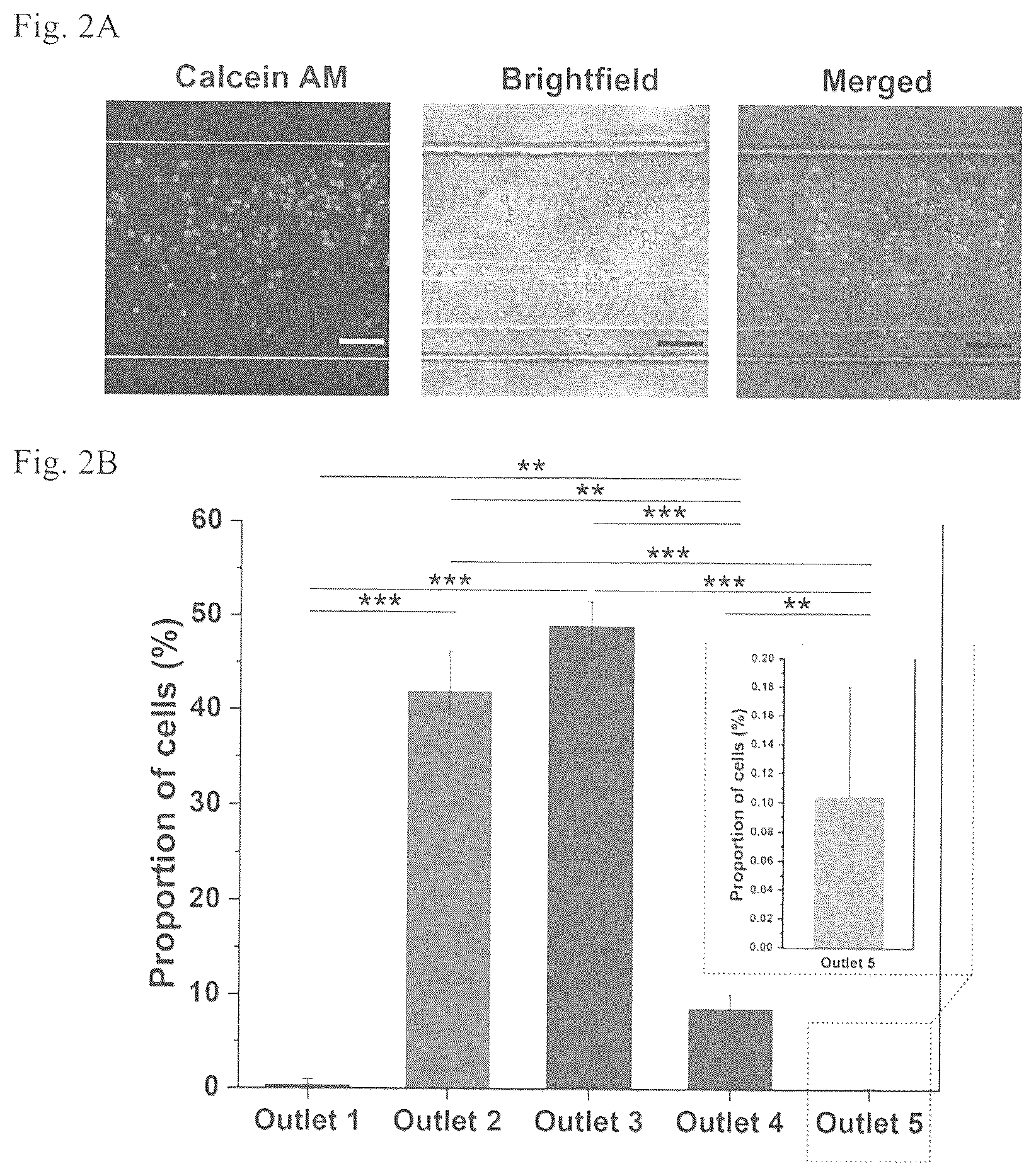 Patent US12377414 Figure 3 – Microfluidic device and method for detecting an infected cell in a fluid sample