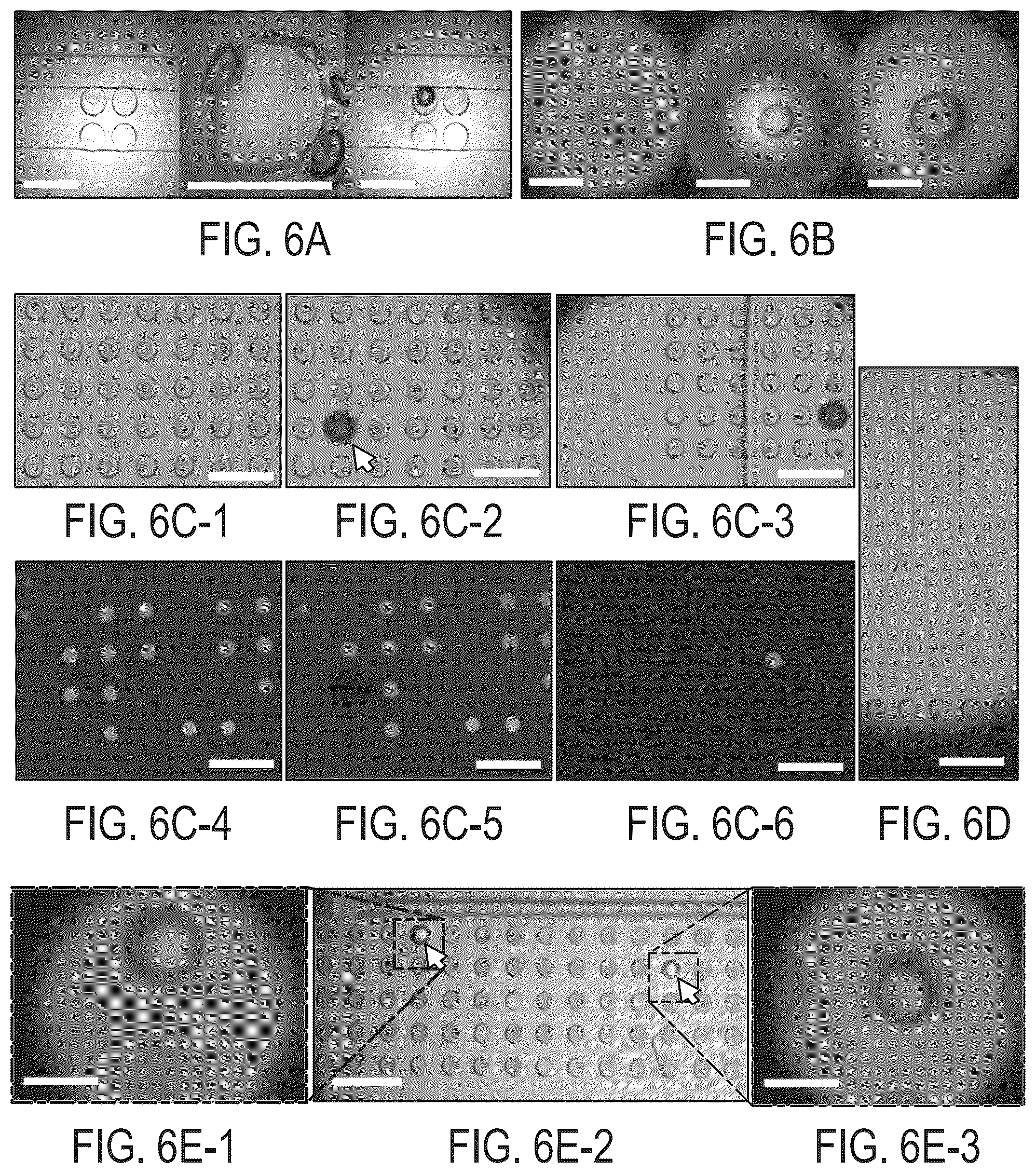 Patent US12377415 Figure 6 – Photoactivated selective release (PHASR) of droplets from microwell arrays