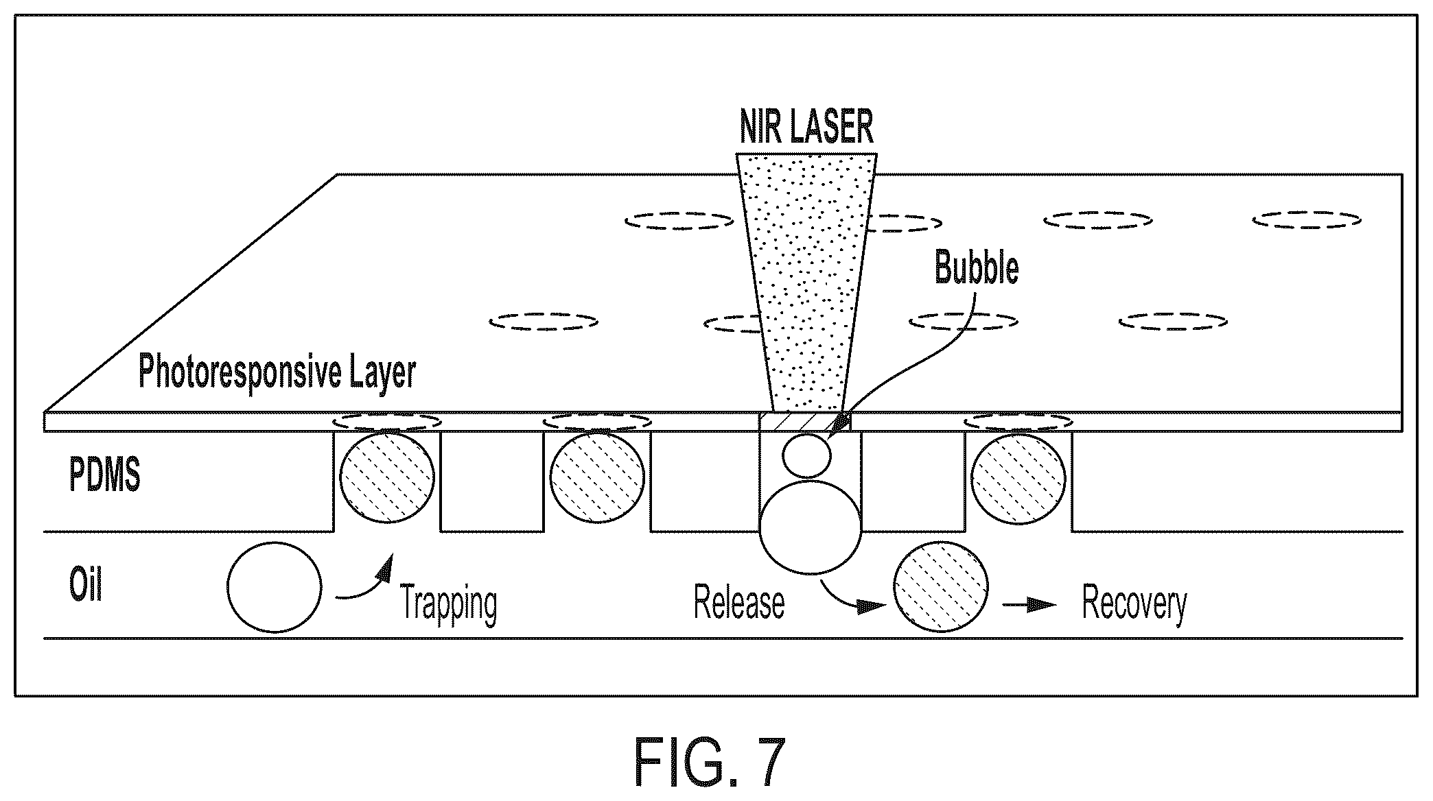 Patent US12377415 Figure 7 – Photoactivated selective release (PHASR) of droplets from microwell arrays