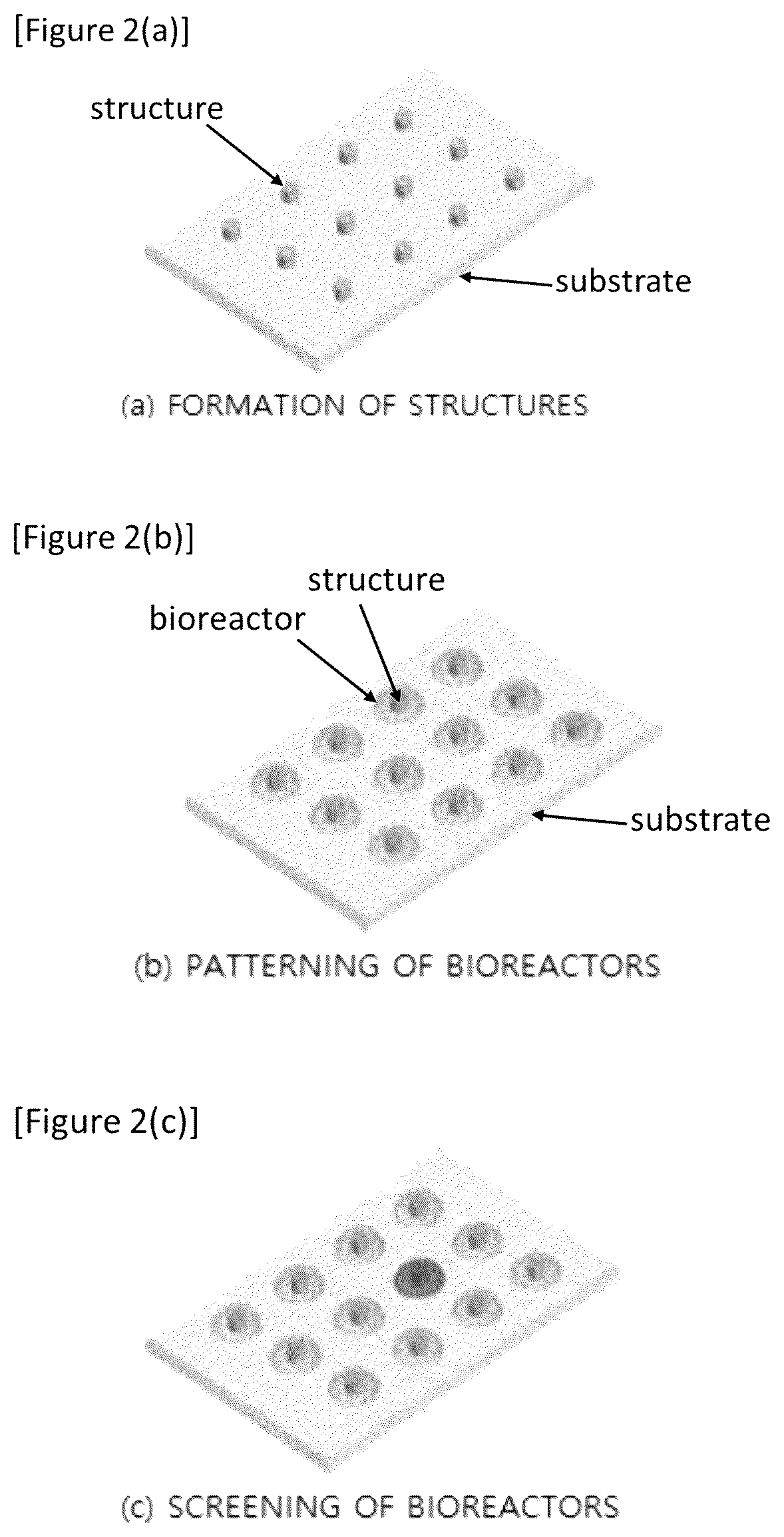 Patent US12377417 Figure 2 – Method for analysis of biospecimen, analysis chip and analysis system based on bioreactor
