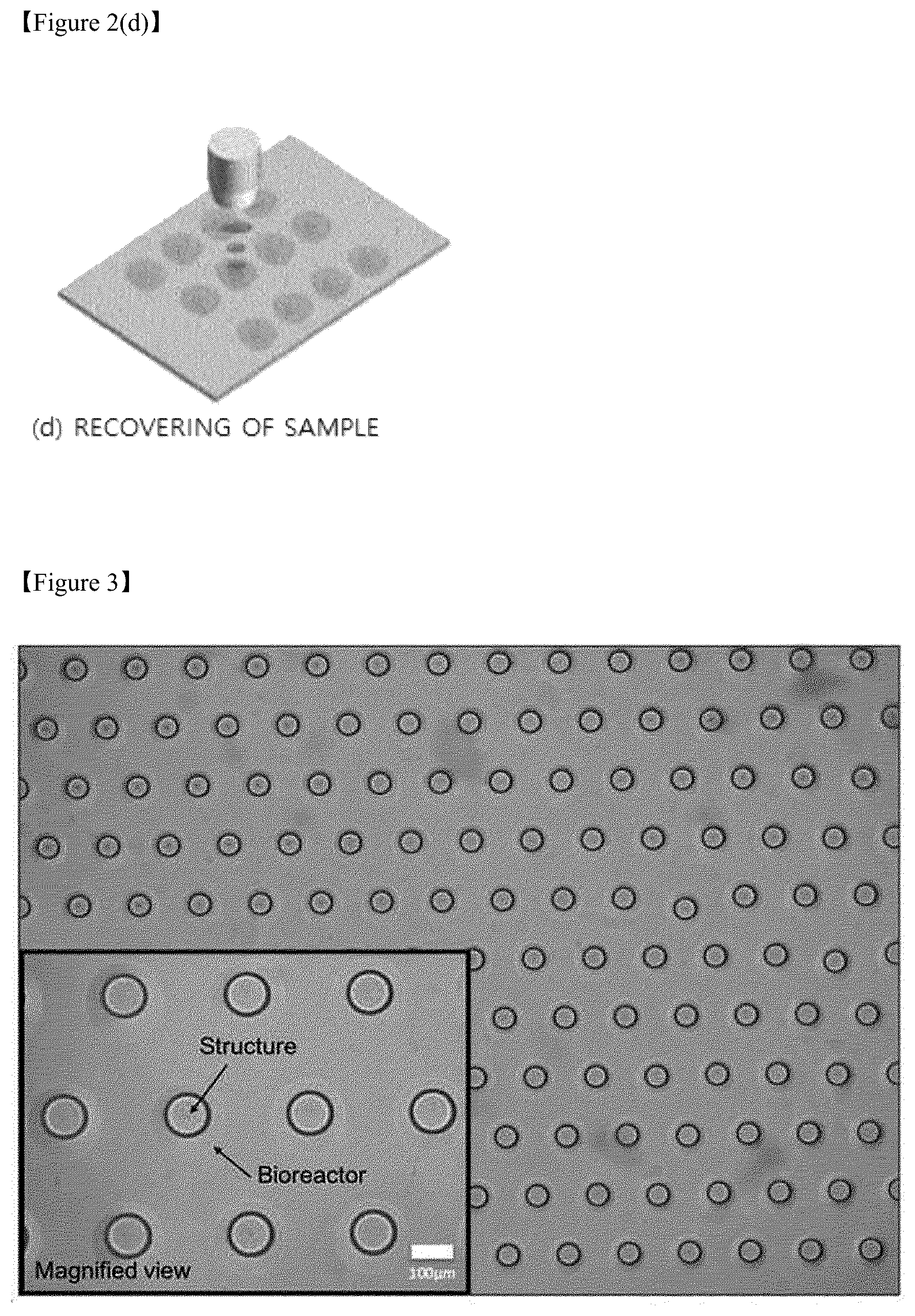 Patent US12377417 Figure 3 – Method for analysis of biospecimen, analysis chip and analysis system based on bioreactor