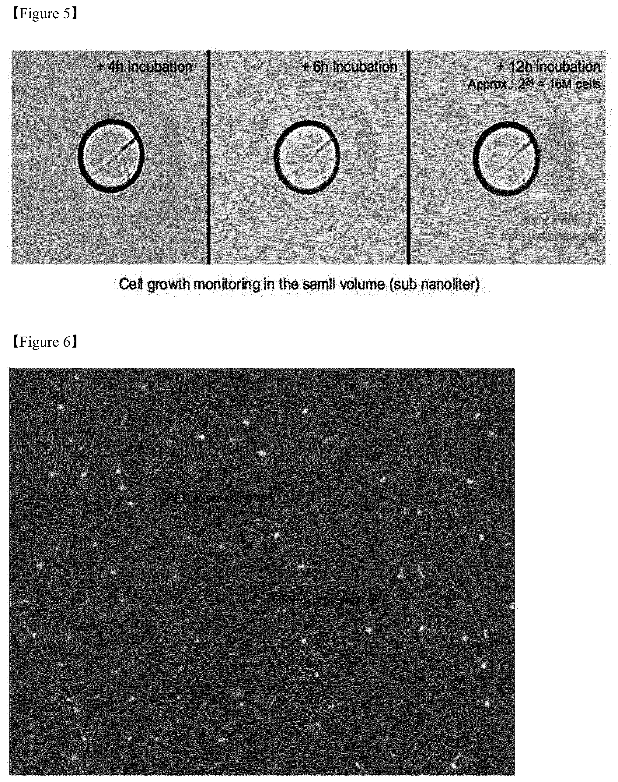 Patent US12377417 Figure 5 – Method for analysis of biospecimen, analysis chip and analysis system based on bioreactor