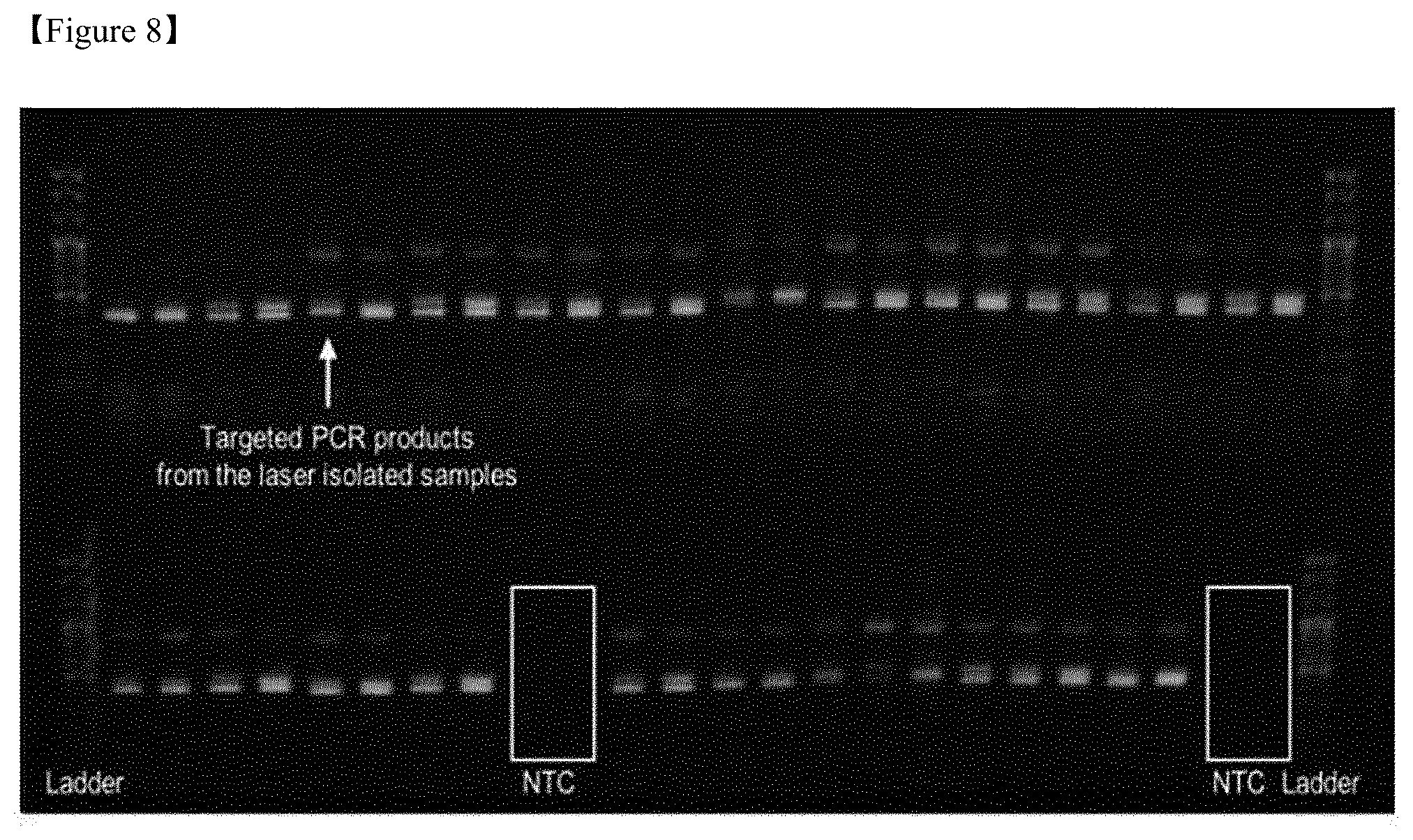Patent US12377417 Figure 7 – Method for analysis of biospecimen, analysis chip and analysis system based on bioreactor
