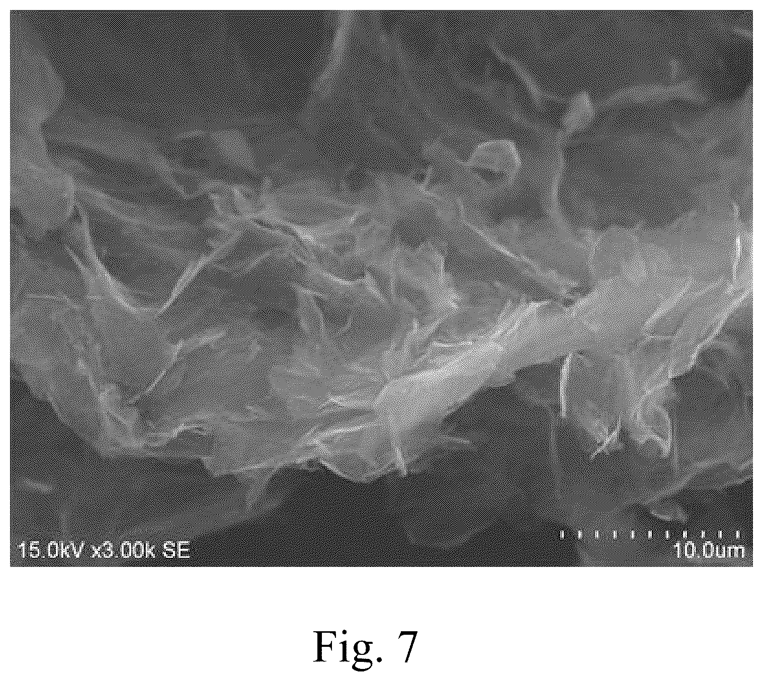 Patent US12377476 Figure 4 – Micro-cavity liquid-phase shearing device for preparing quasi-two-dimensional materials